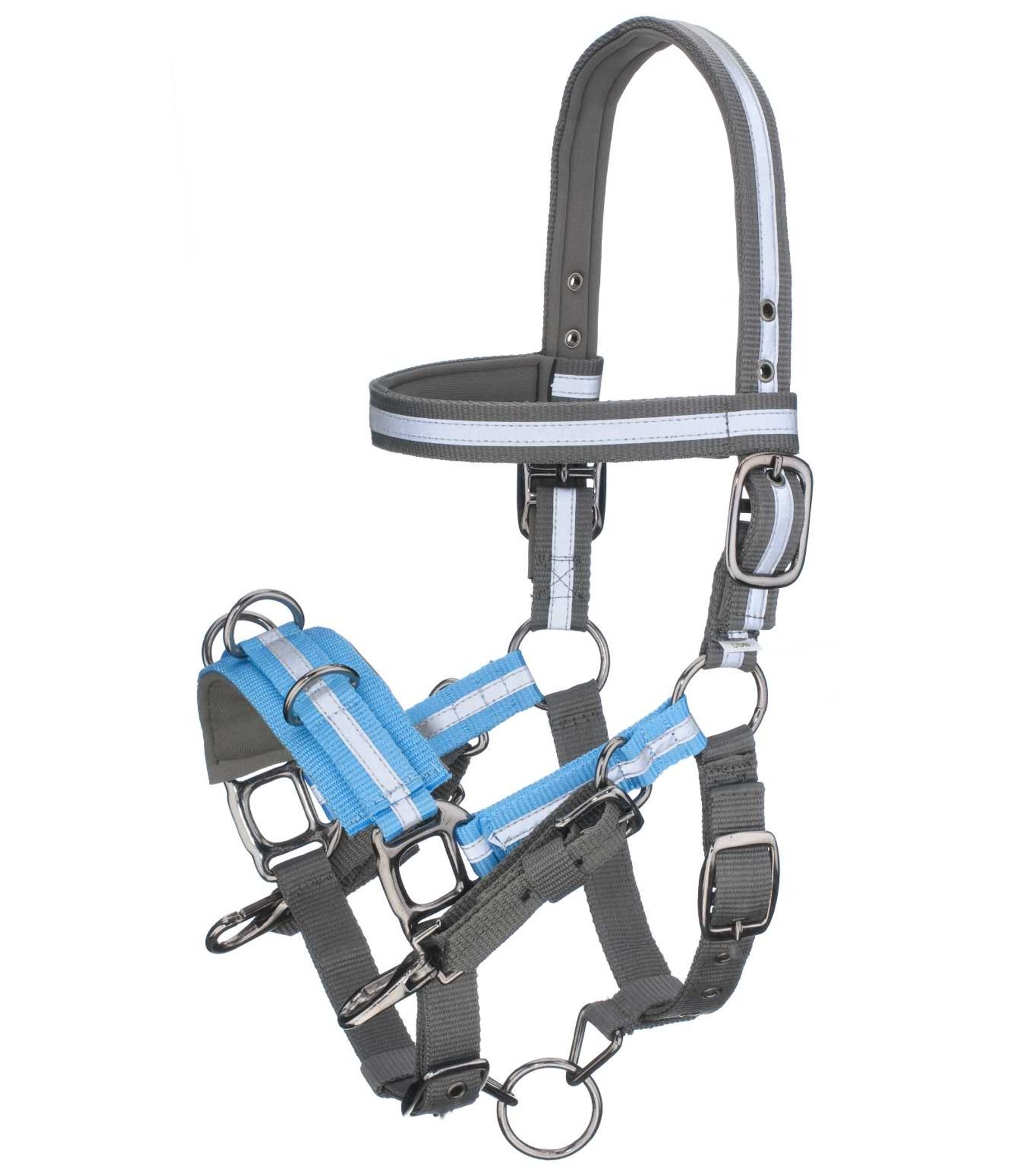 MultiFunctional Bridle Horse Walking Kramer Equestrian