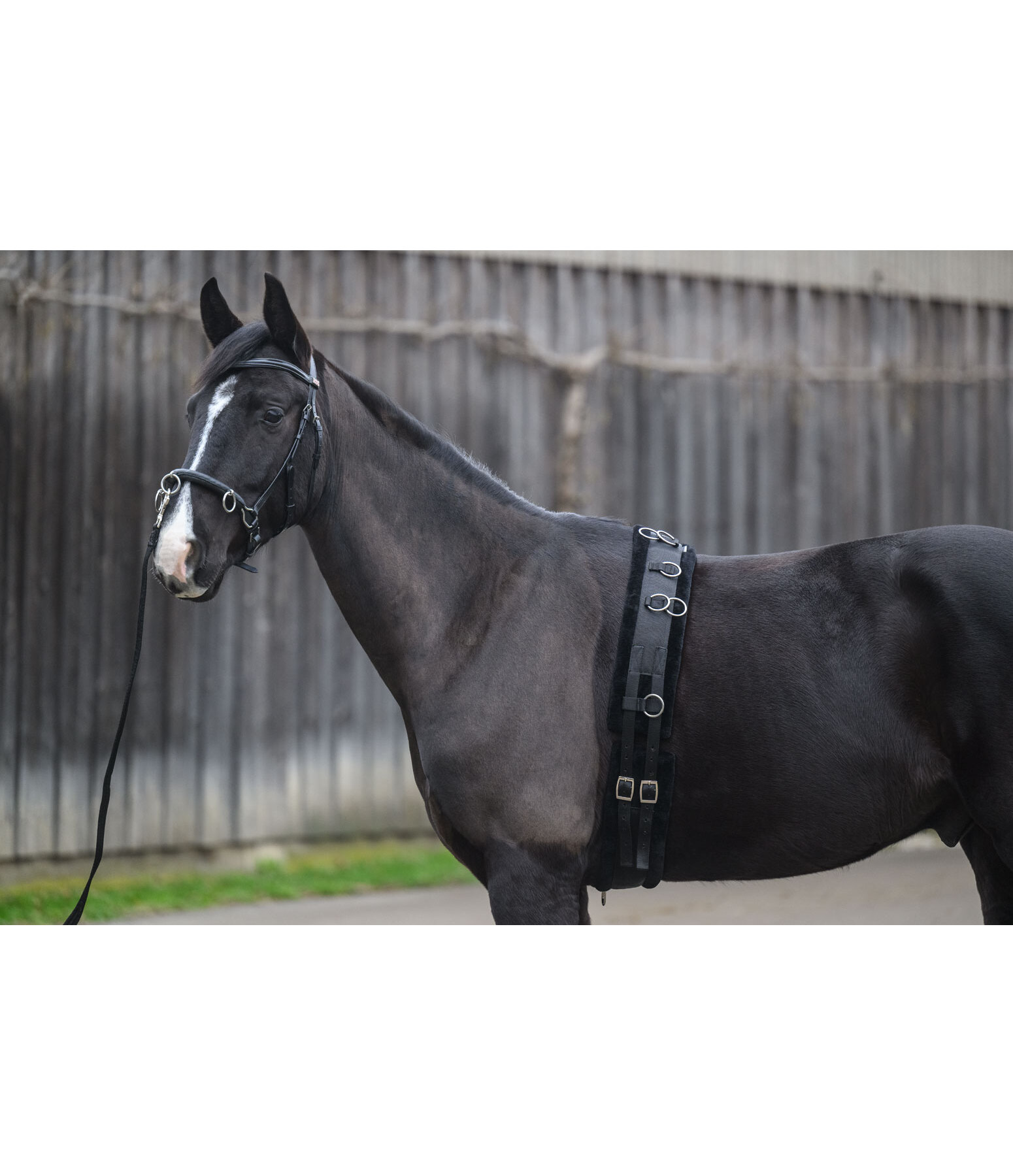 Teddy Fleece Lunge Roller
