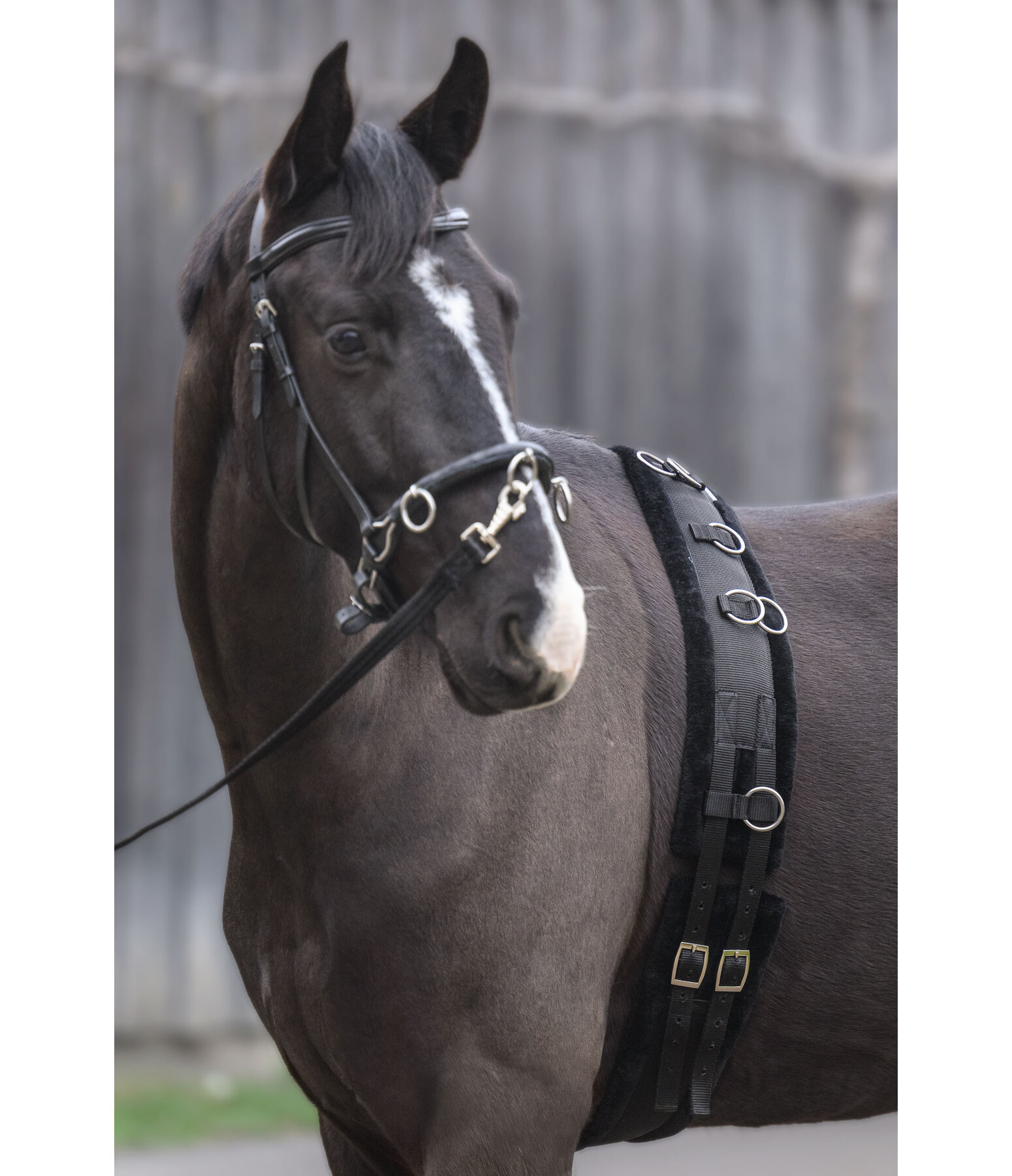 Teddy Fleece Lunge Roller