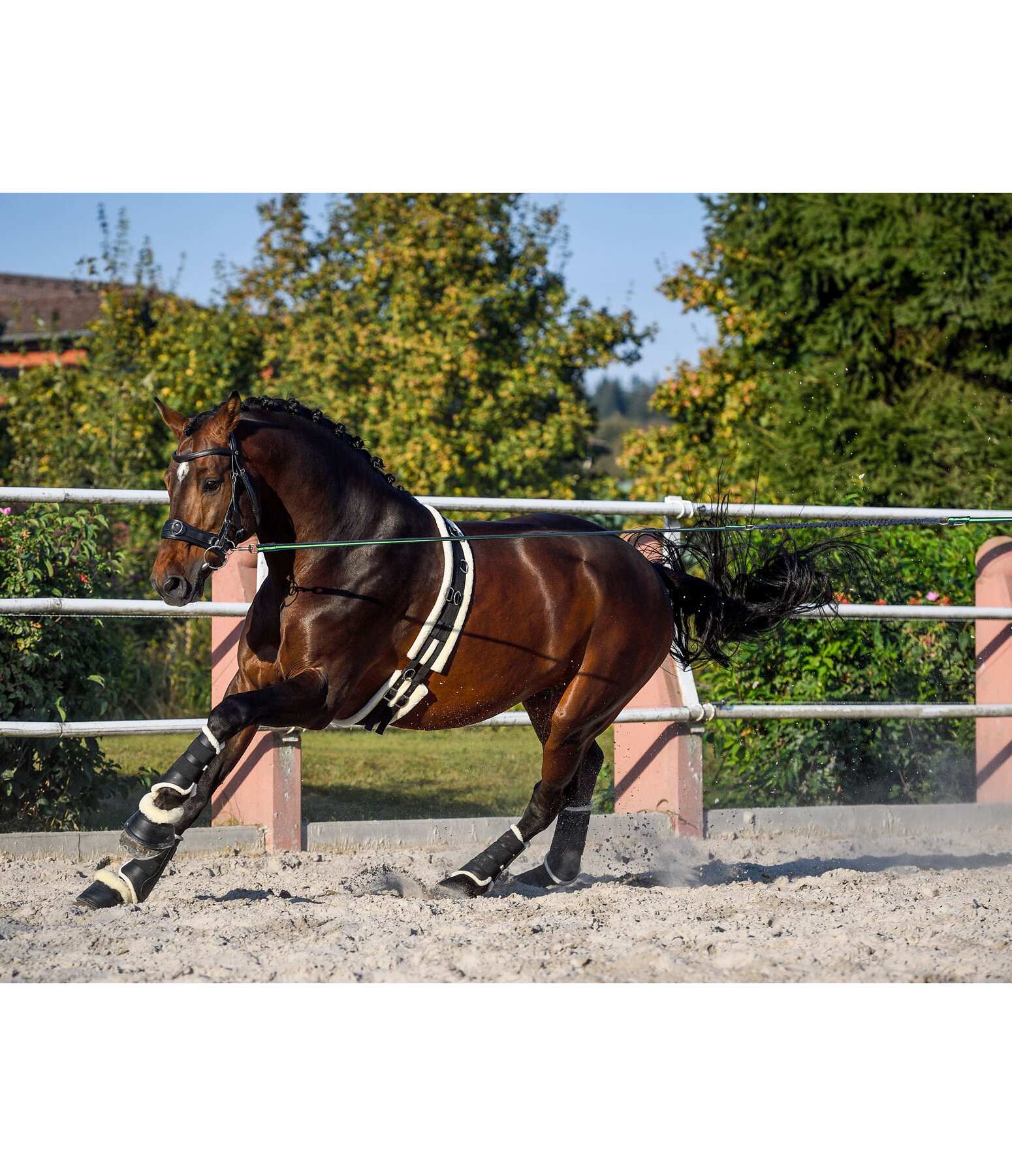 Teddy Fleece Lunge Roller