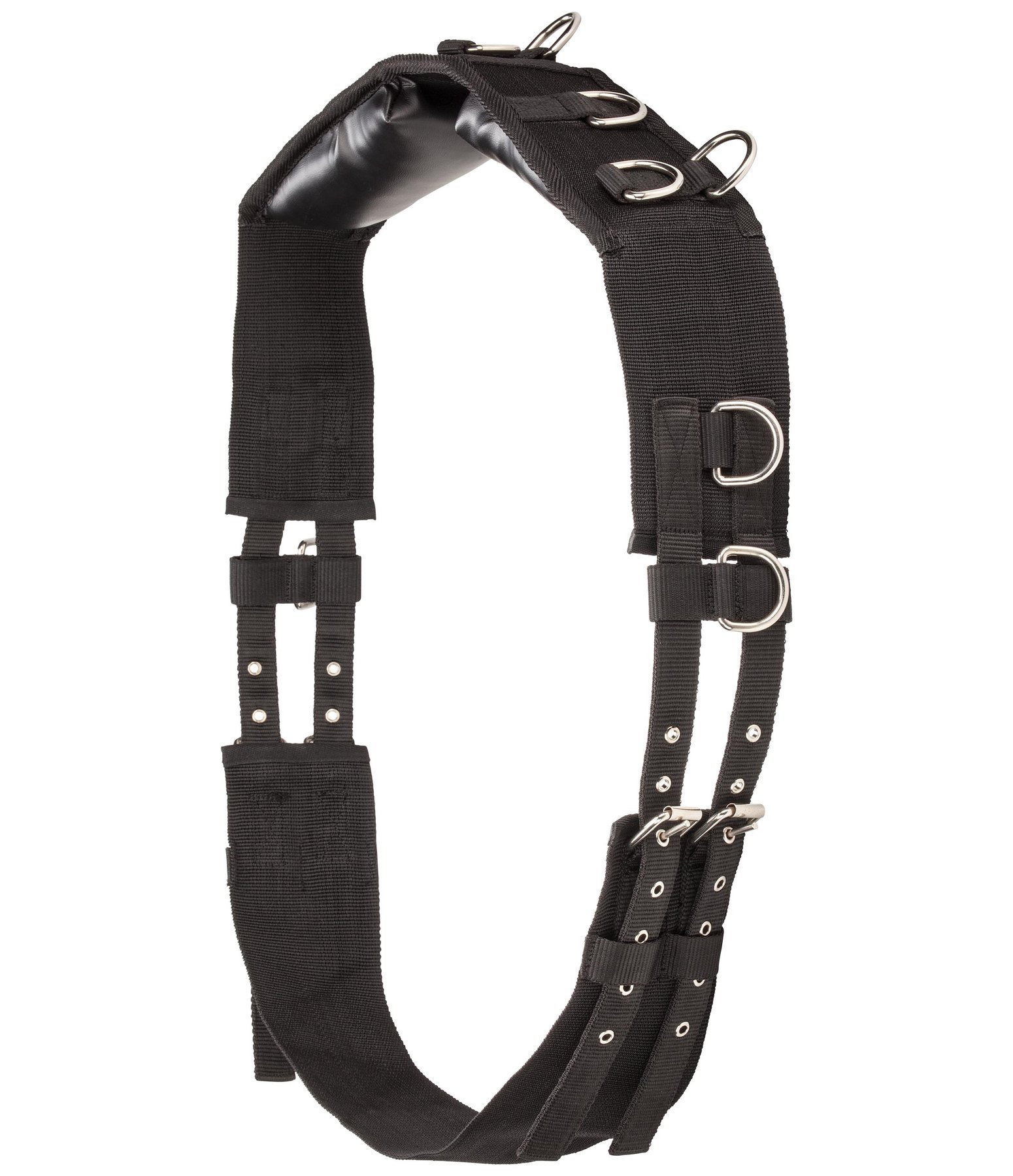 Lunge roller new arrivals