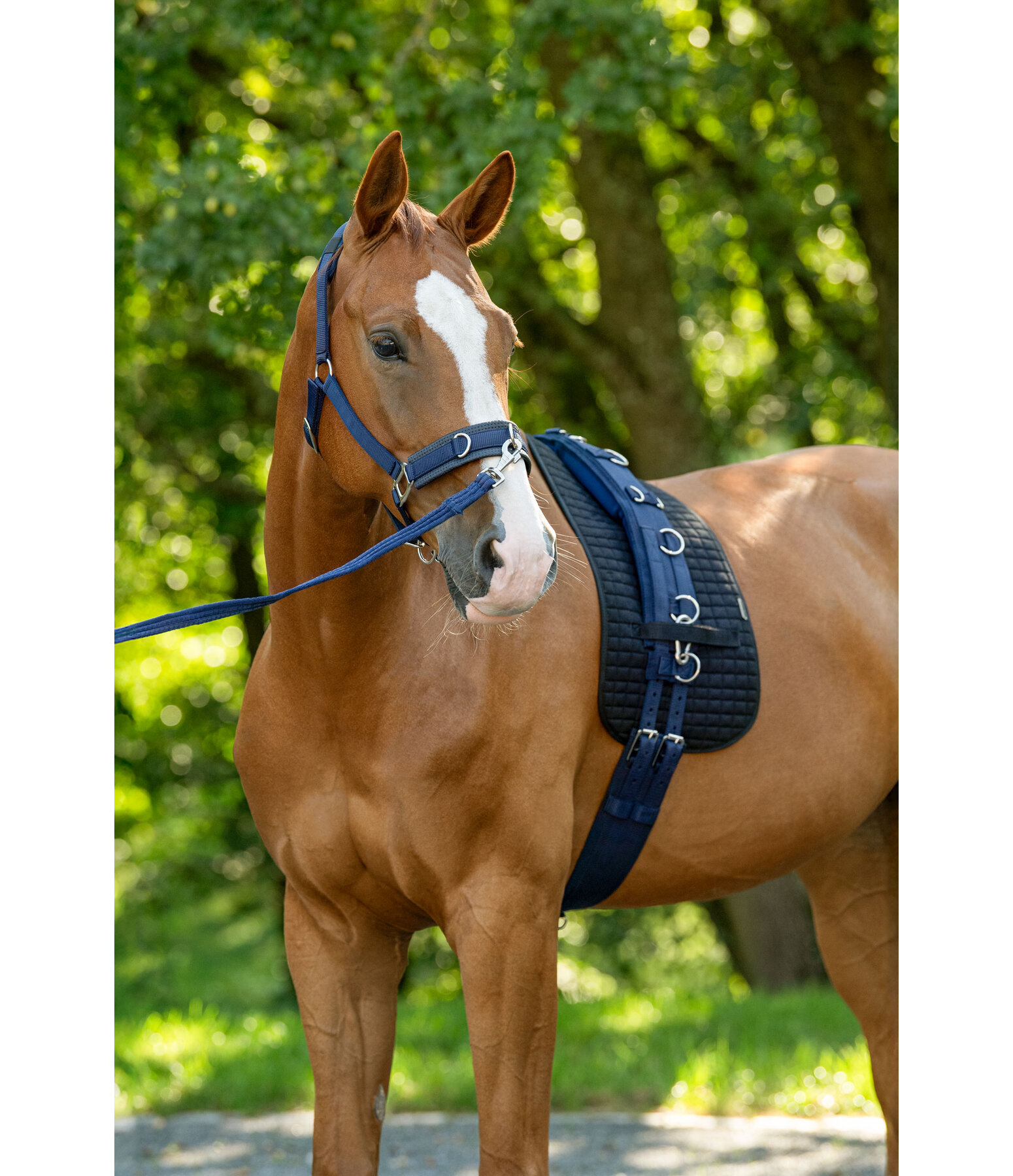 Lunge Roller Padding Comfort