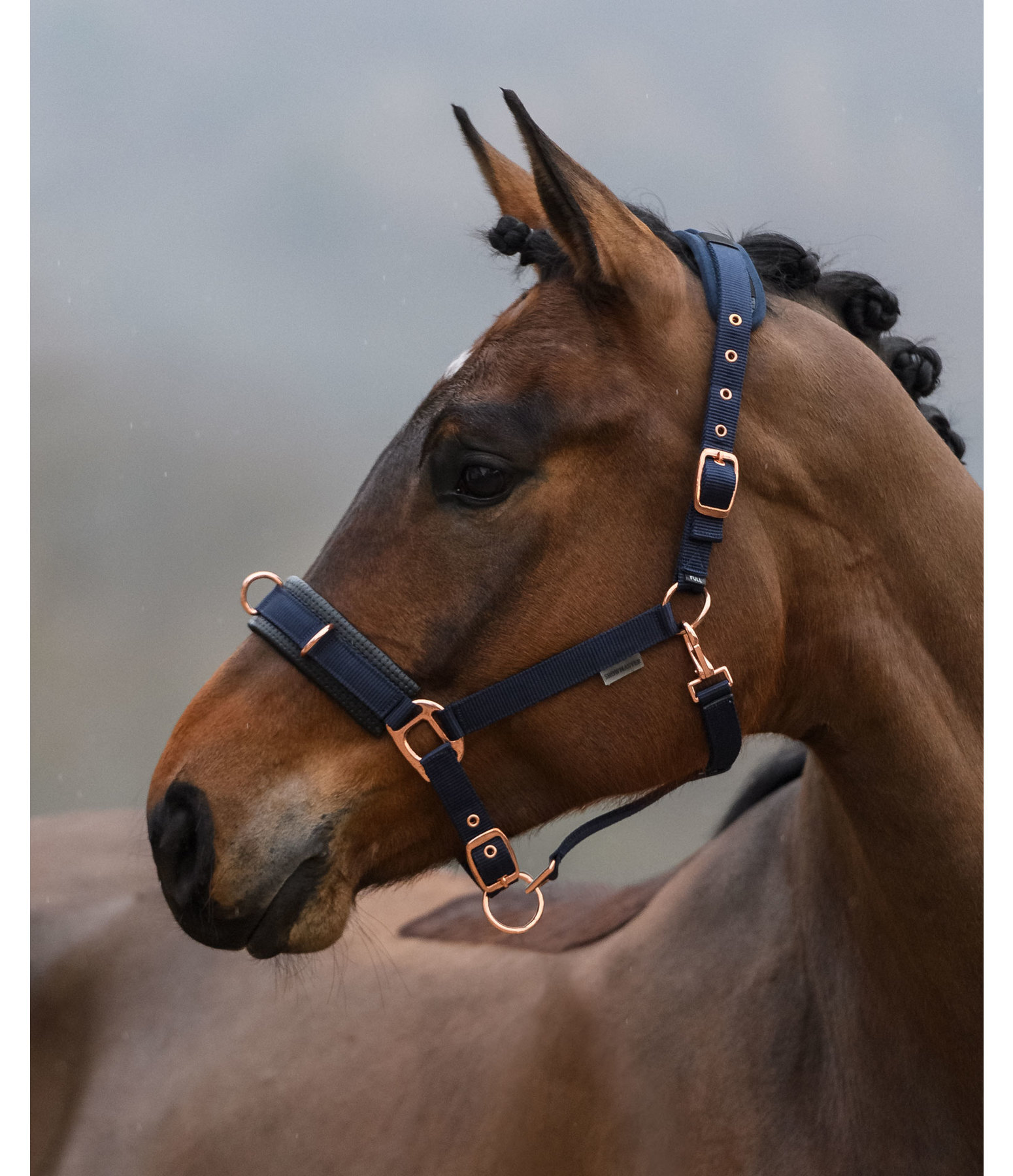 Lungeing Headcollar Freedom