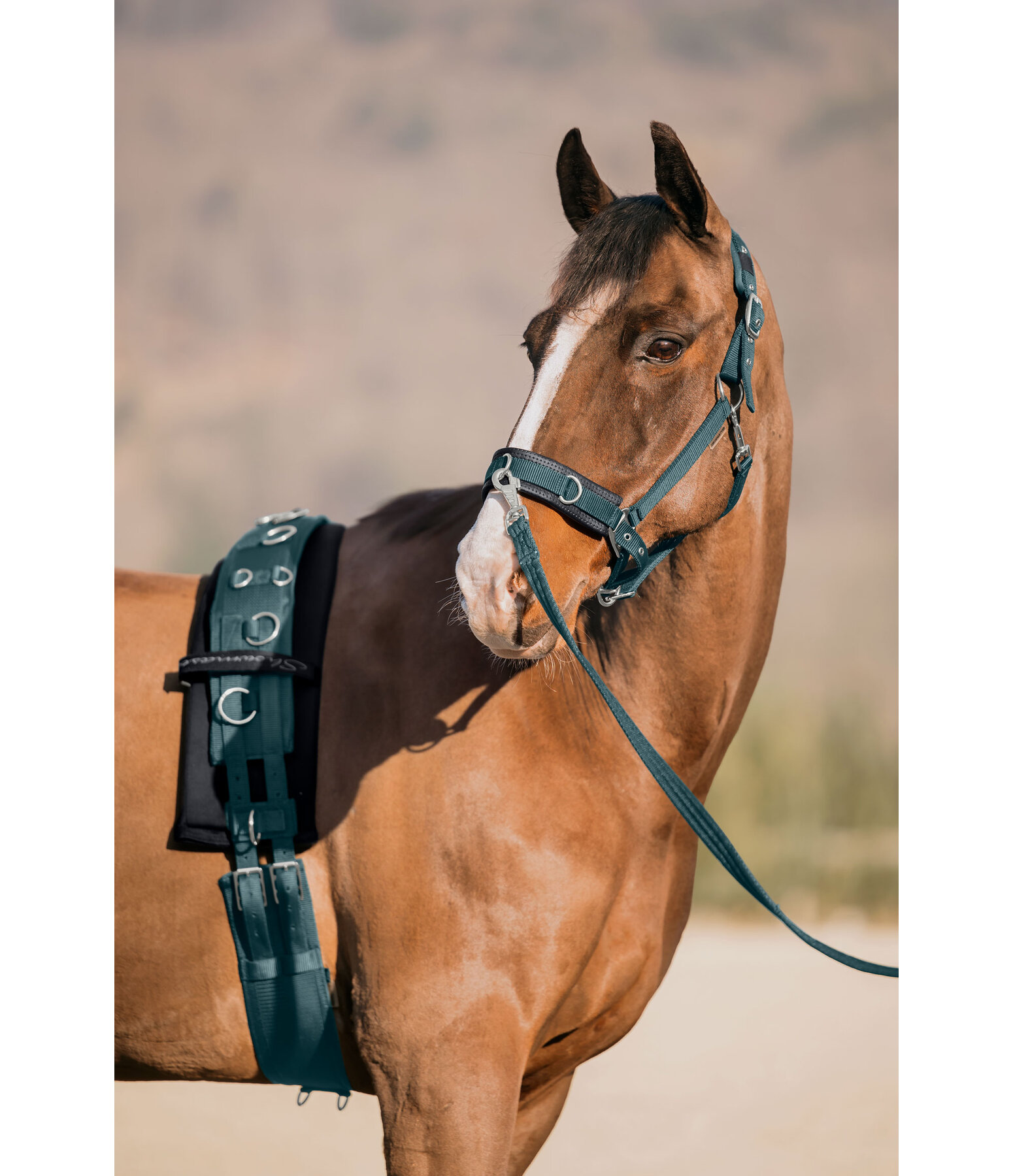 Lungeing Headcollar Freedom