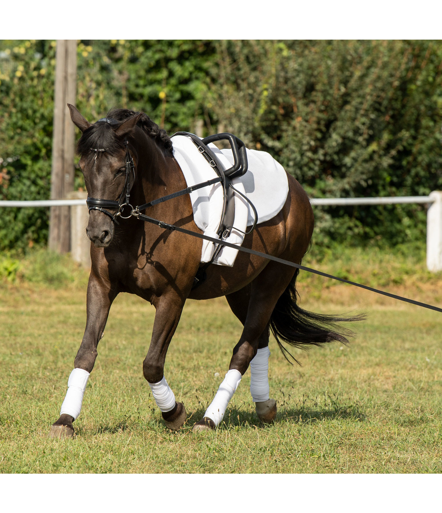 Vaulting Roller Master