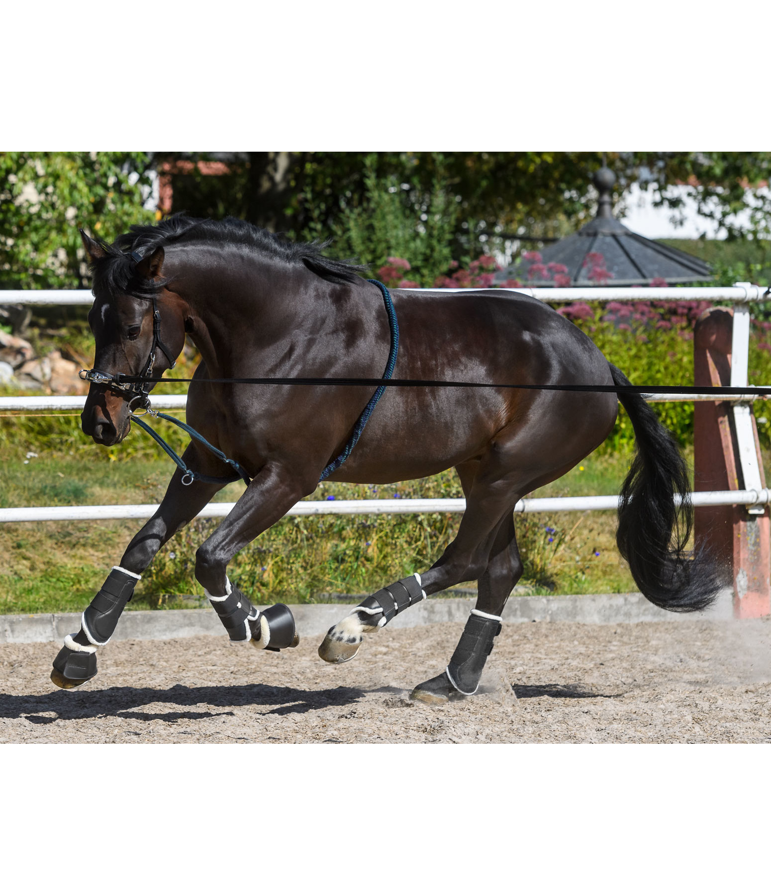 Lungeing Aid Super Soft Training Aids Kramer Equestrian