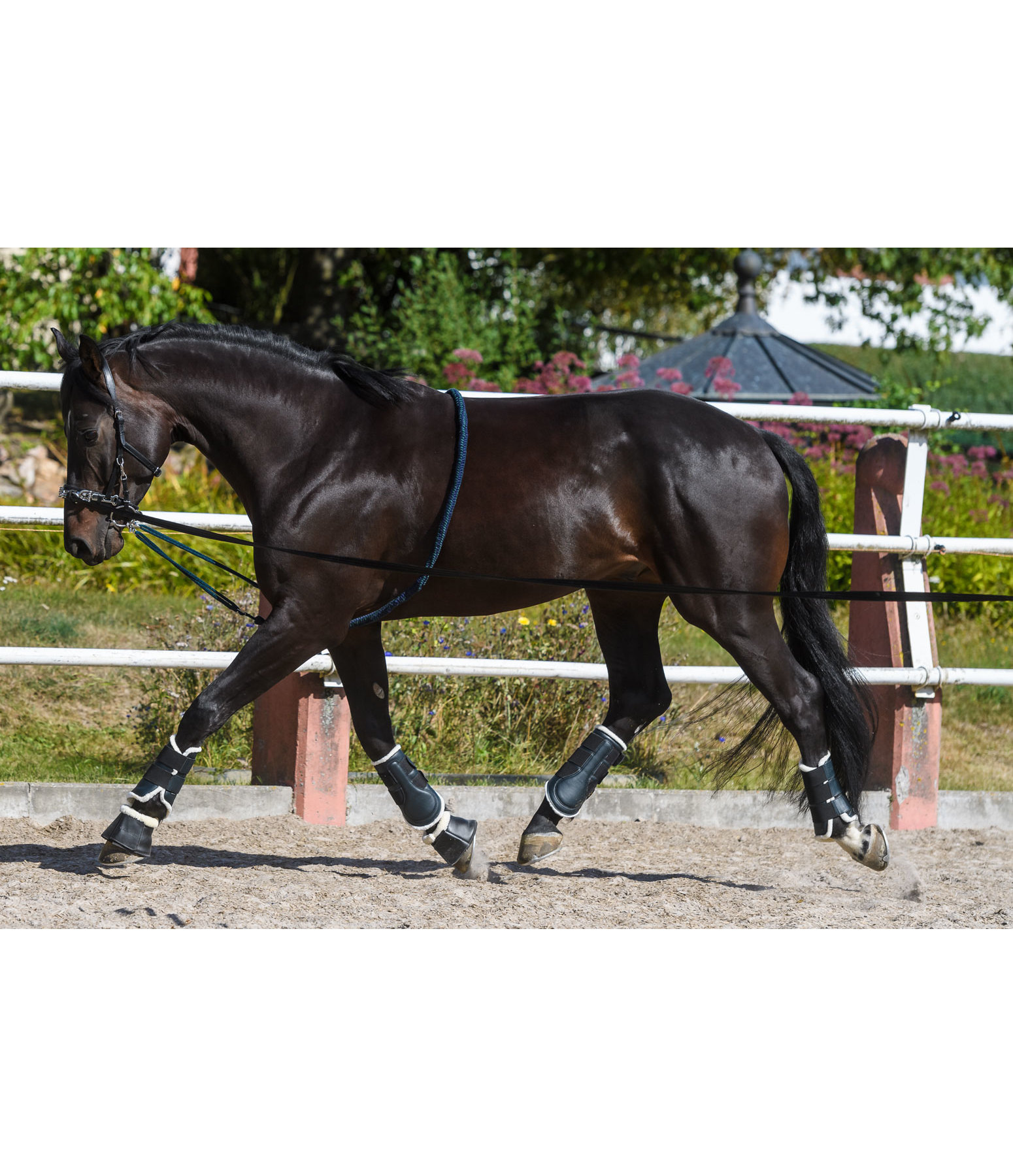 Lungeing Aid Super Soft Training Aids Kramer Equestrian