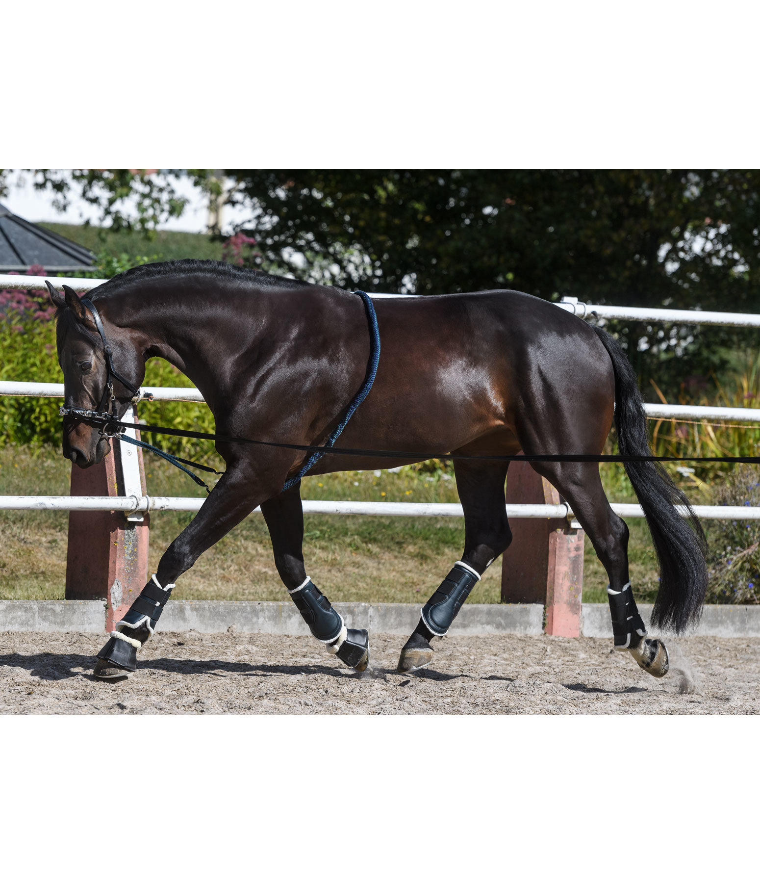 Lungeing Aid Super Soft Training Aids Kramer Equestrian