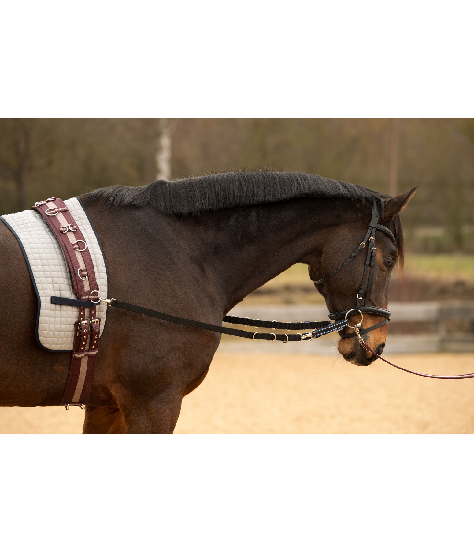 Elastic Nylon Side Reins