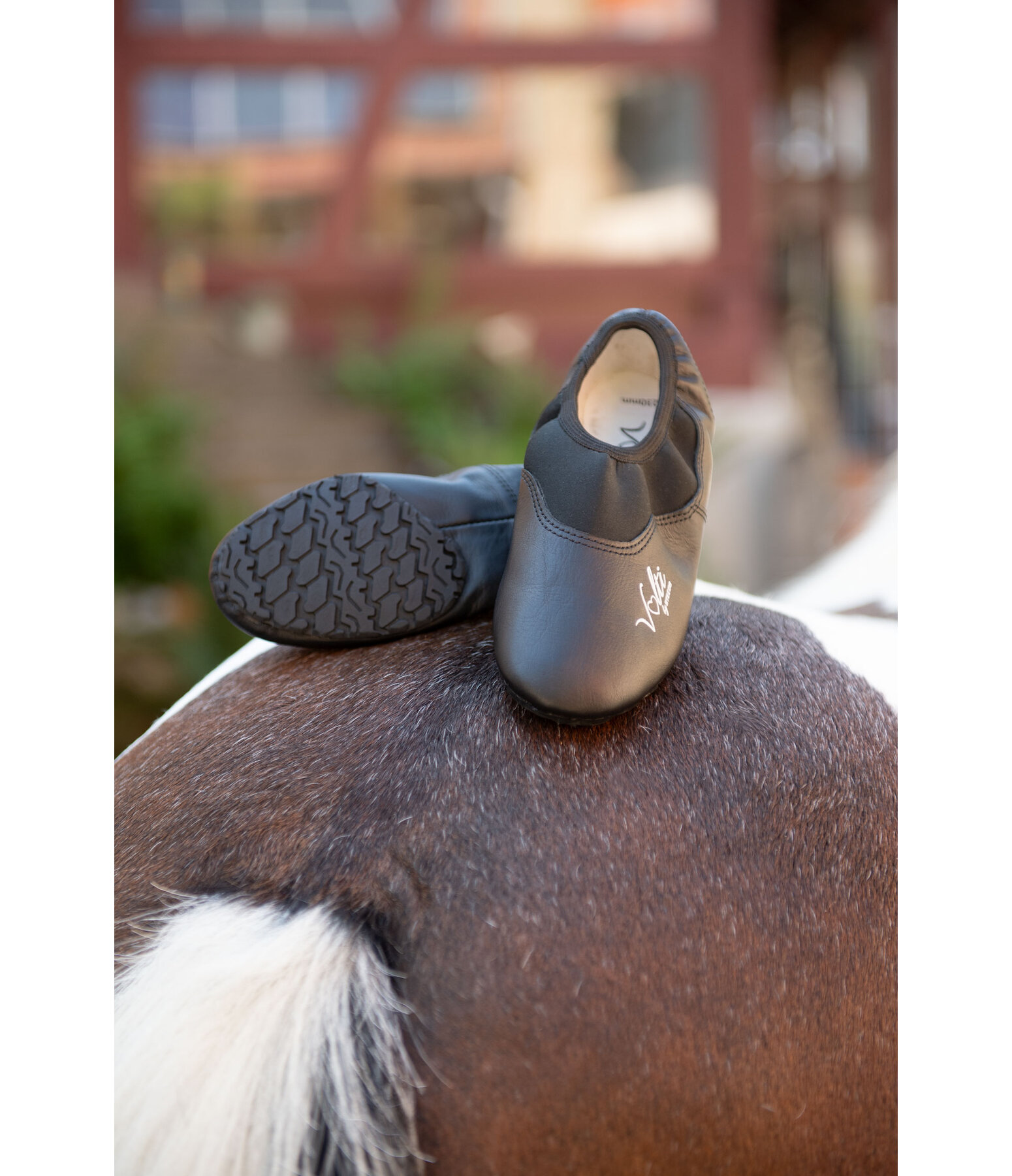 Vaulting Shoes Expert