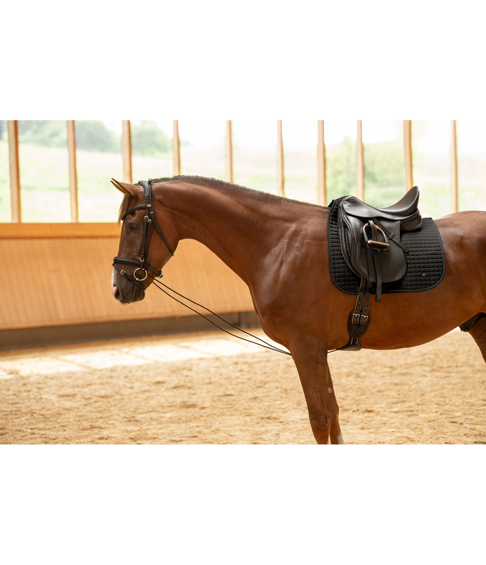 Bungie Training Reins