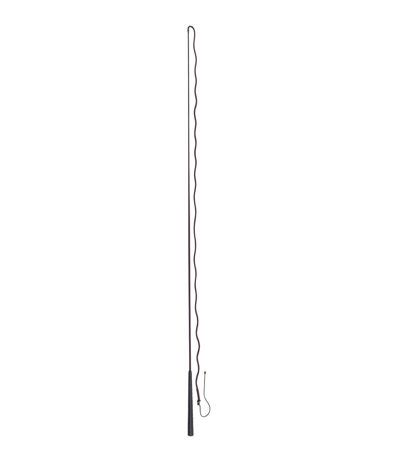 Lungeing Whip