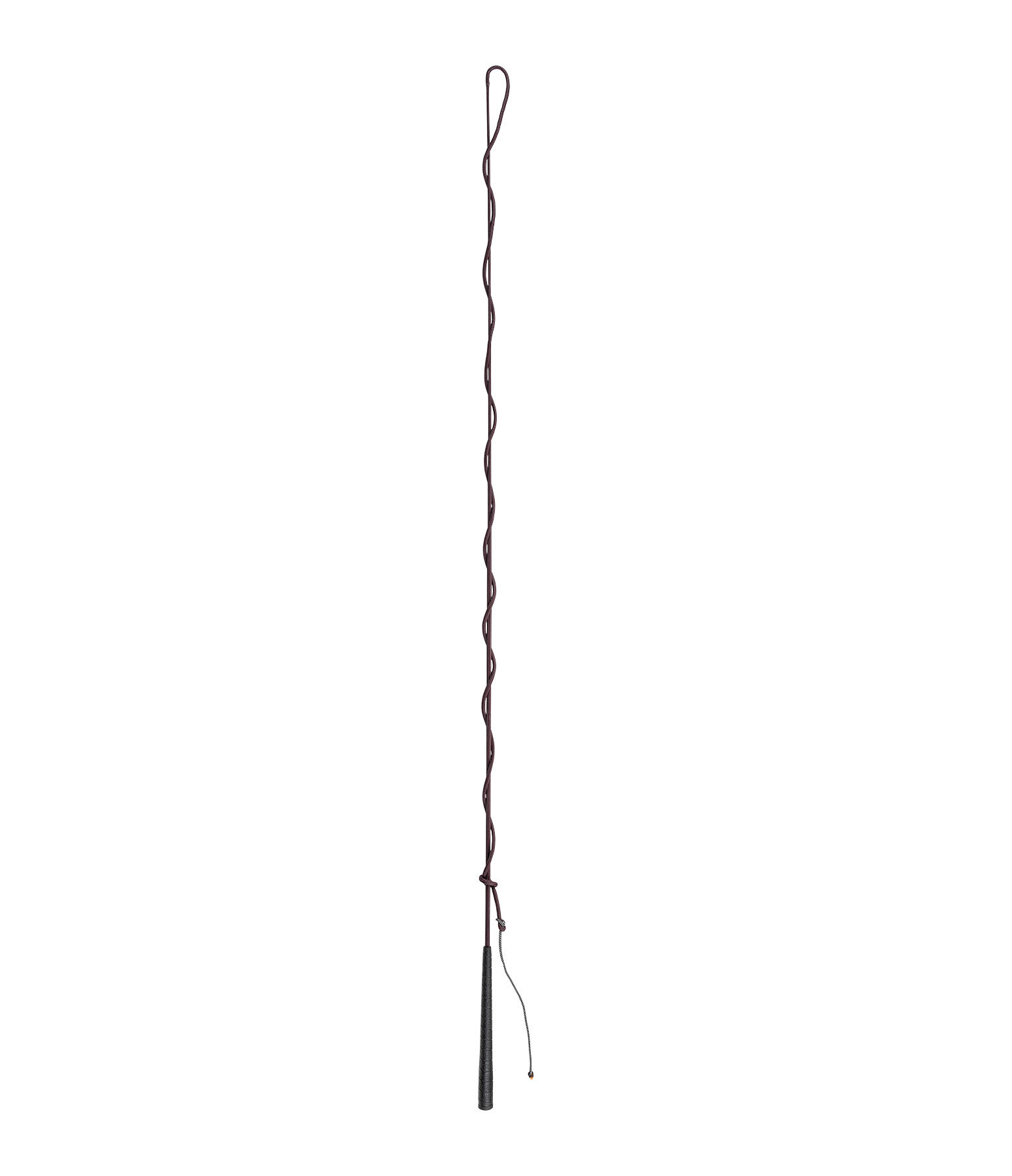 Lungeing Whip