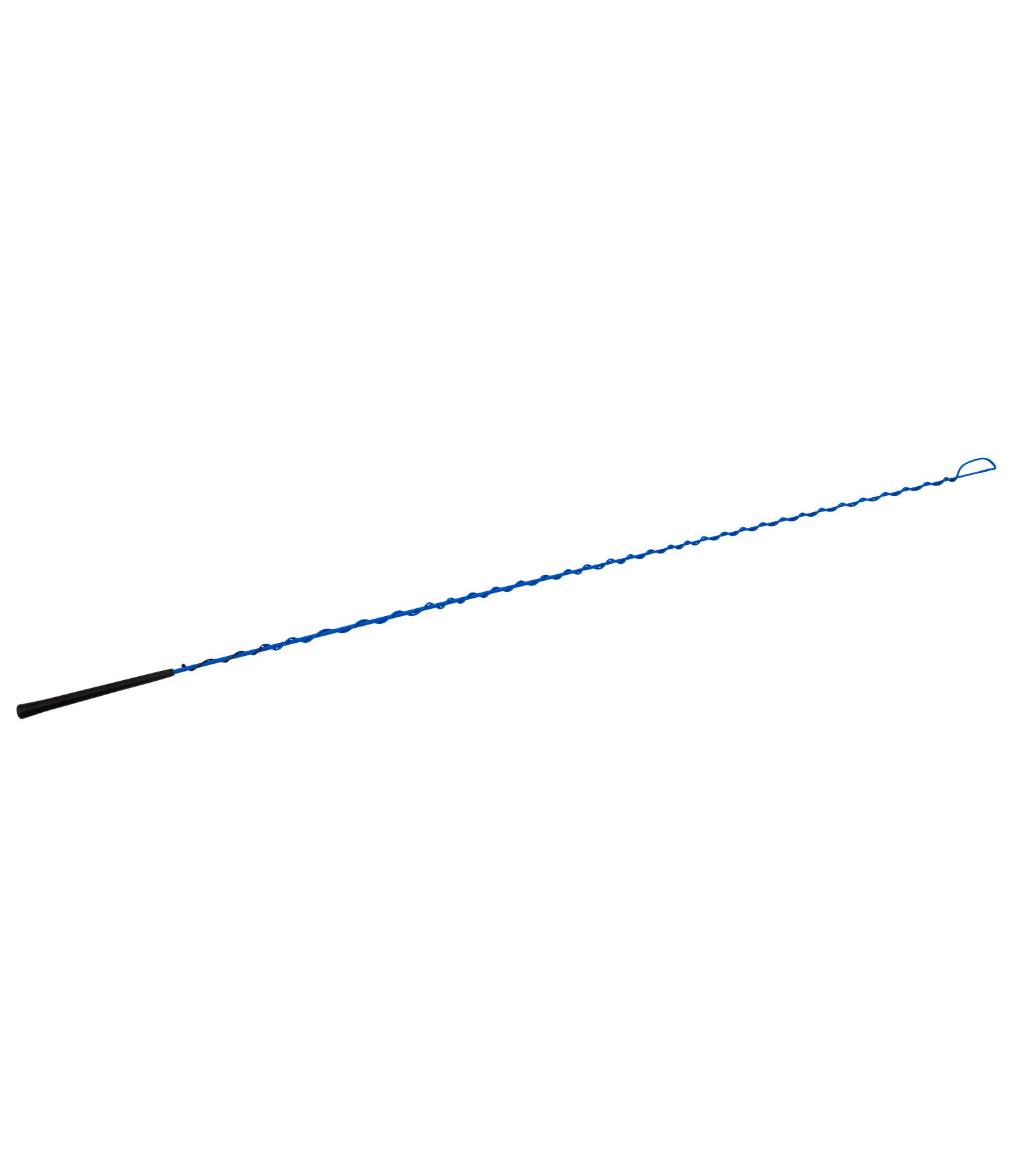 Lungeing Whip