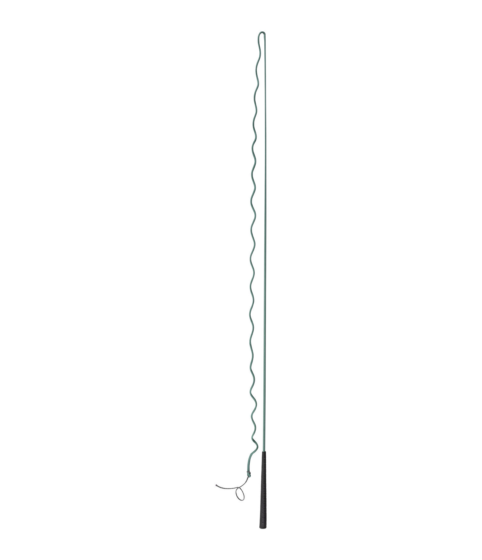 Lungeing Whip