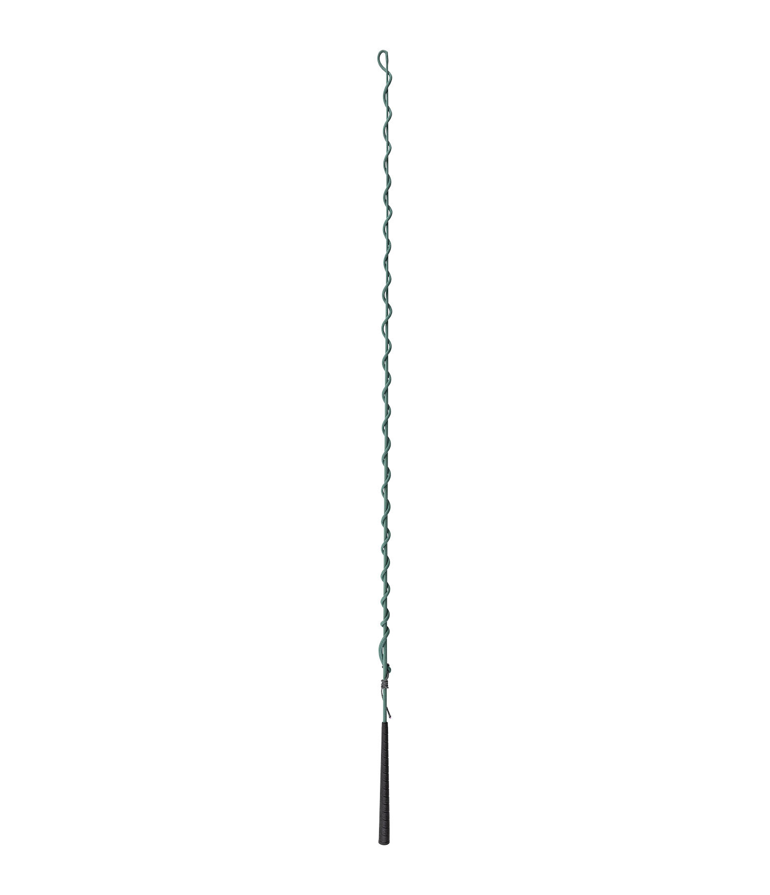 Lungeing Whip