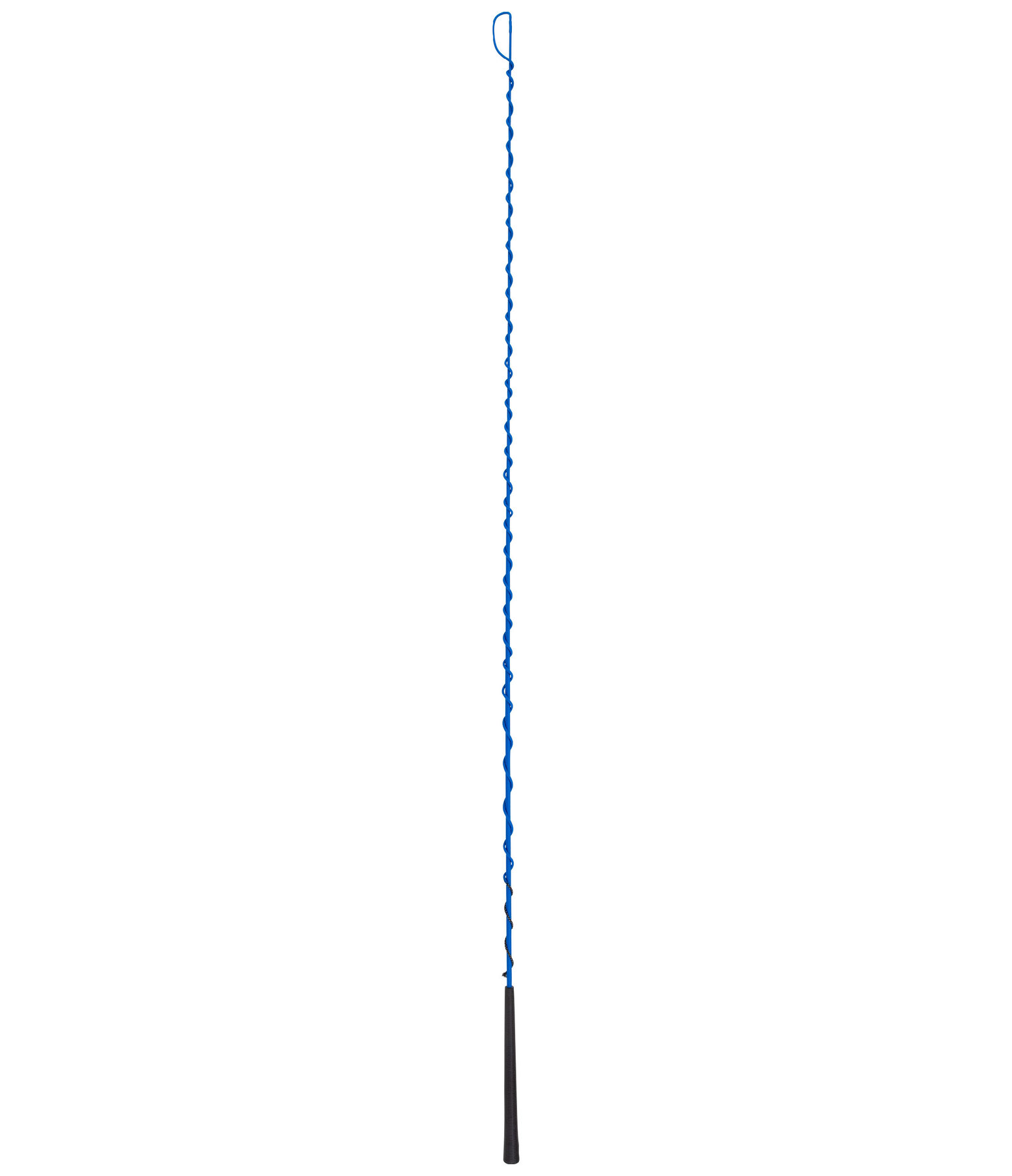 Lungeing Whip