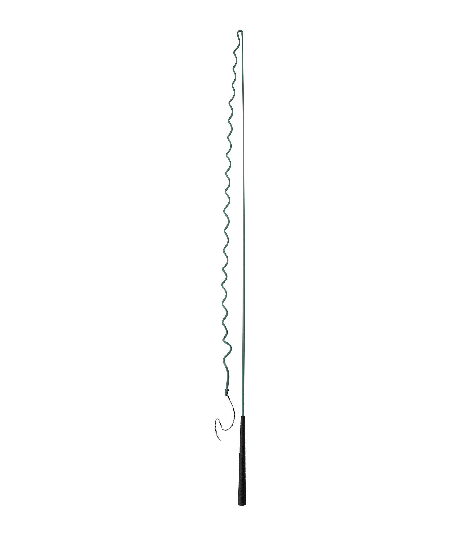 Lungeing Whip