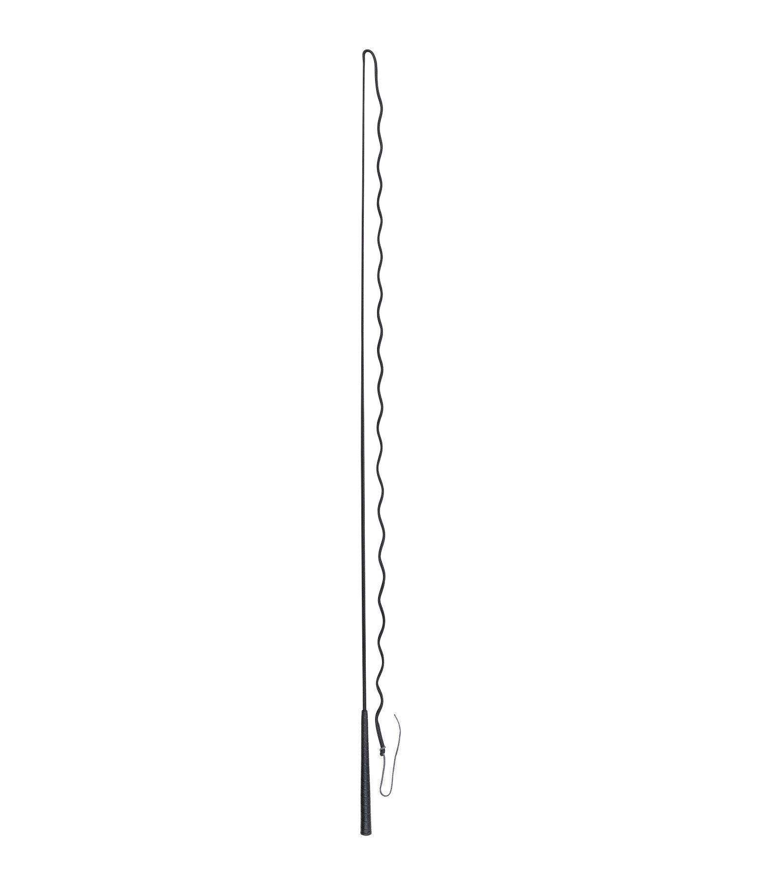 Lungeing Whip