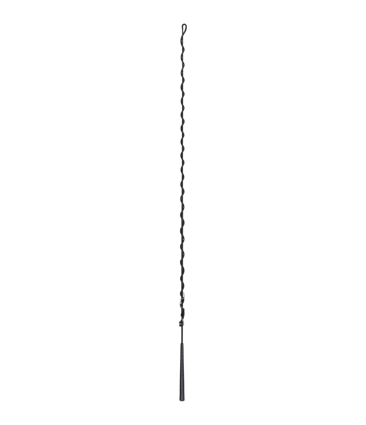 Lungeing Whip
