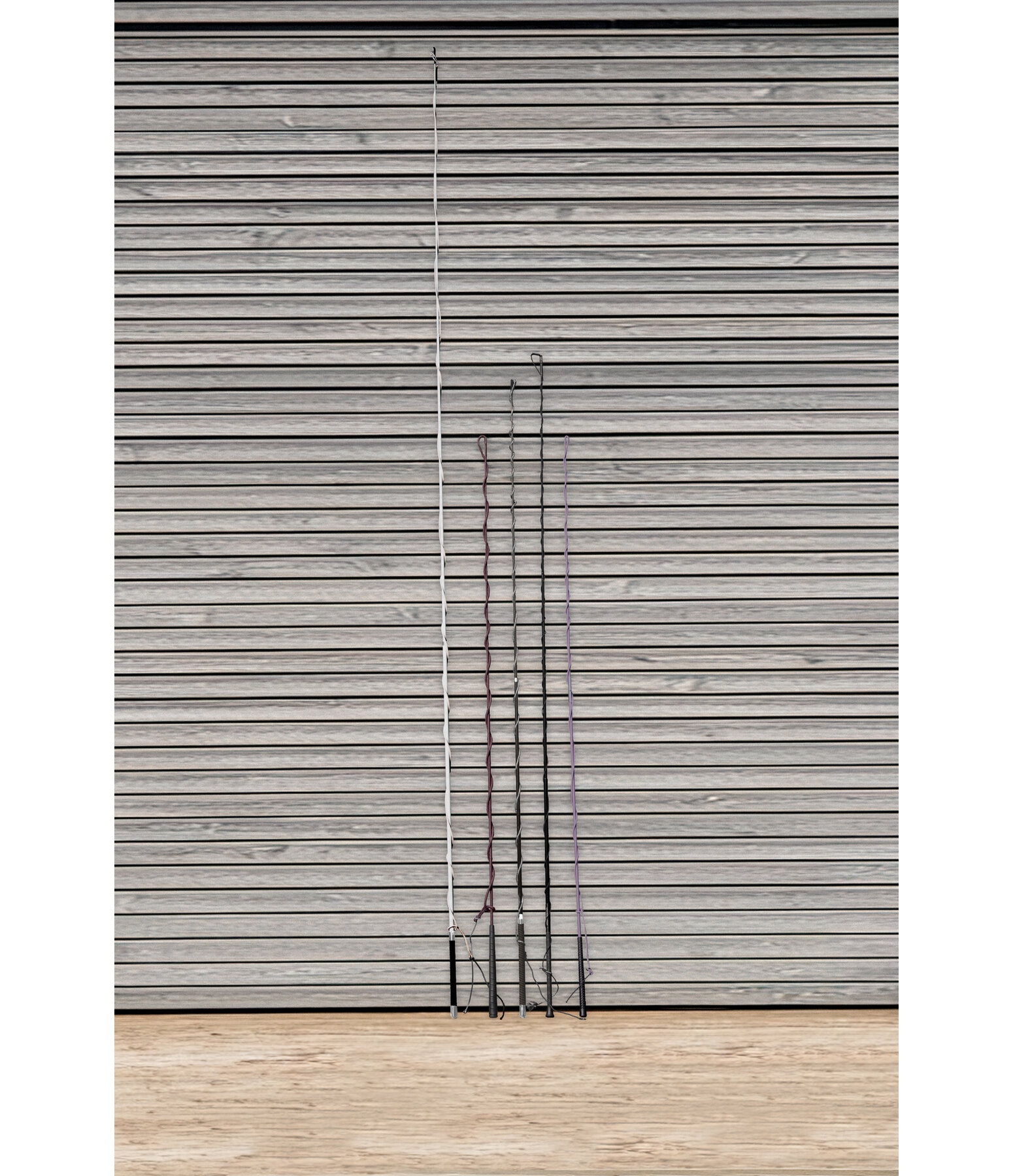 Telescopic Lungeing Whip Ultralight