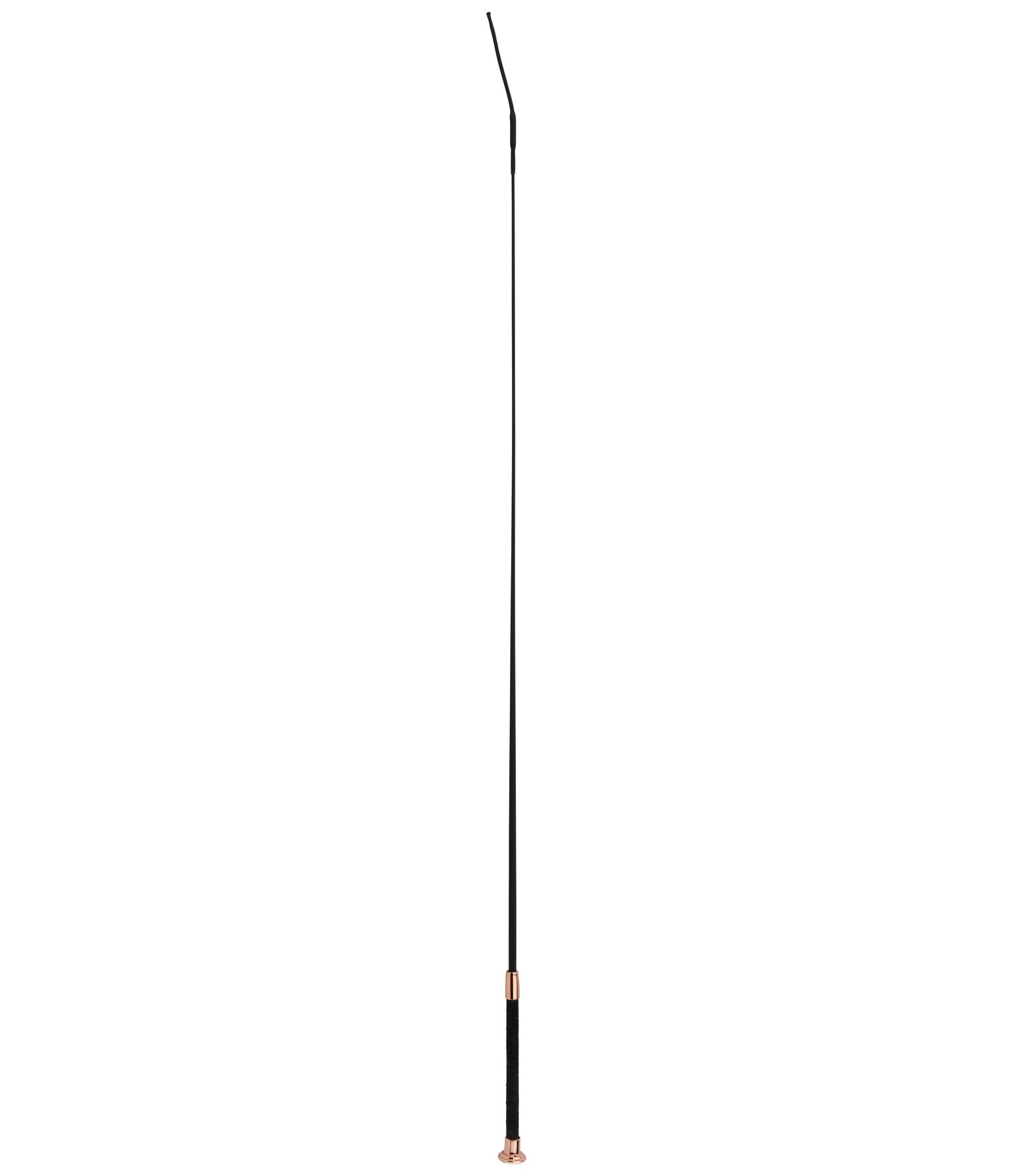 Dressage Whip SilkTouch