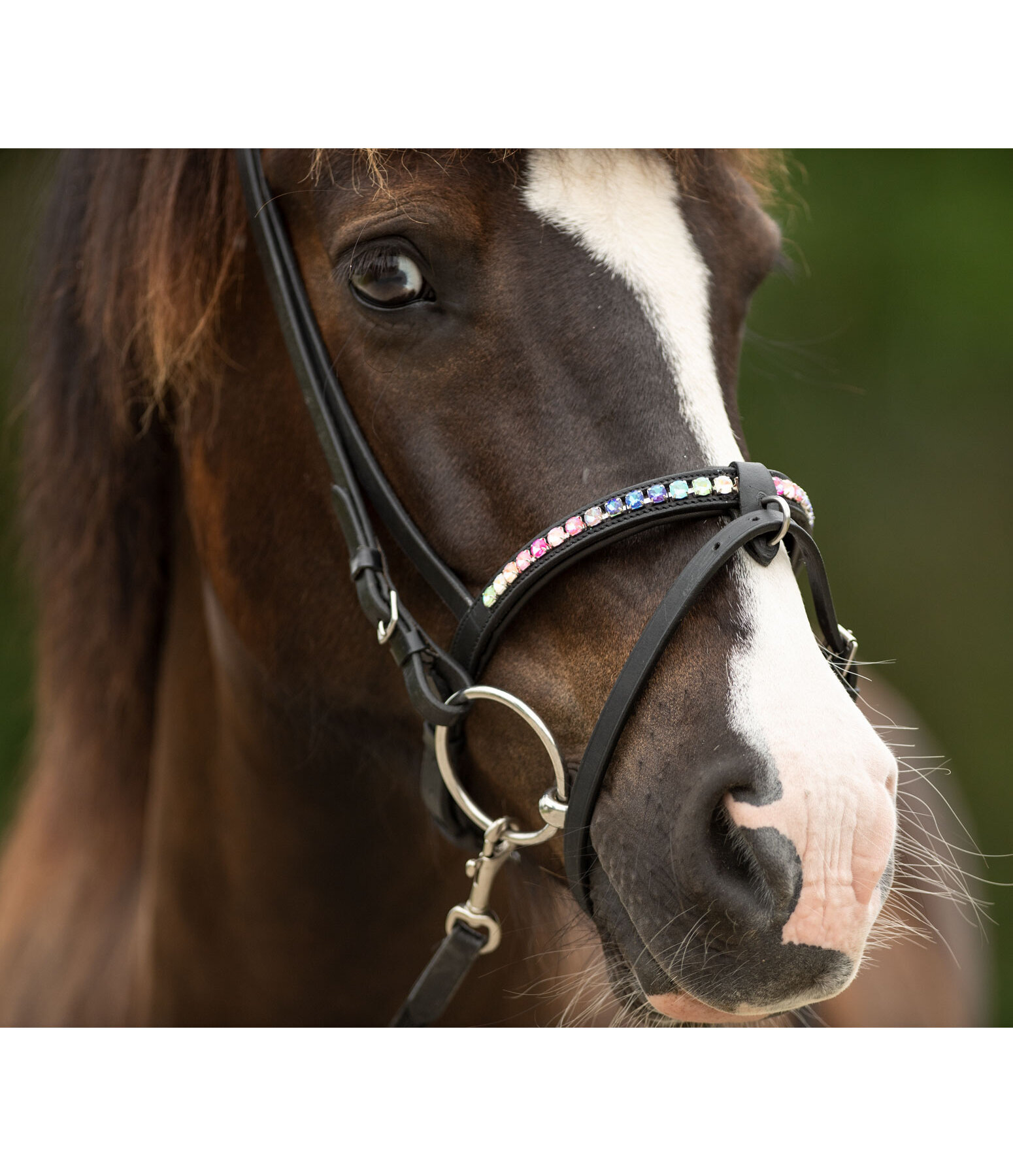 Flash Noseband Rainbow