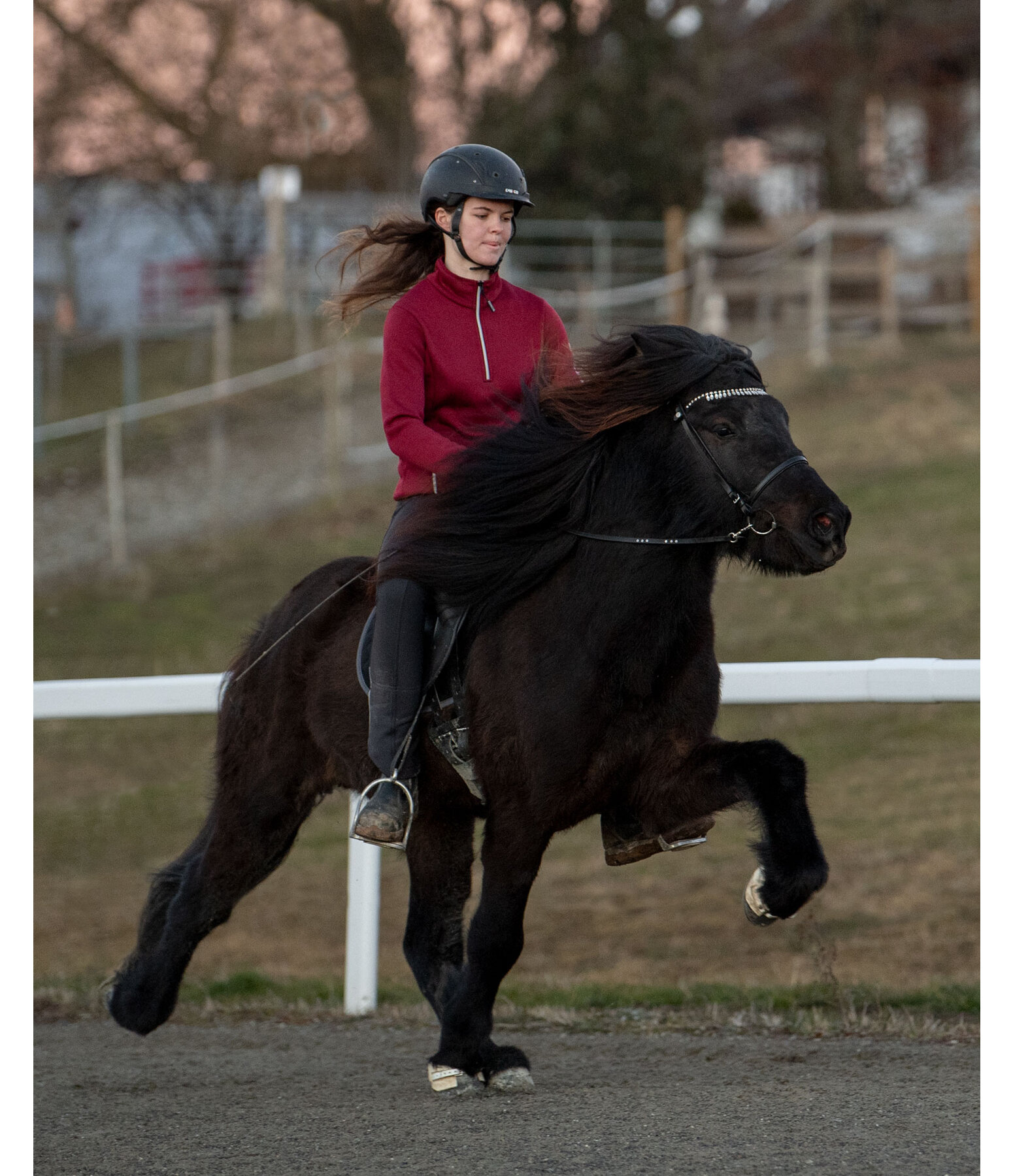 Leather Reins Blossi