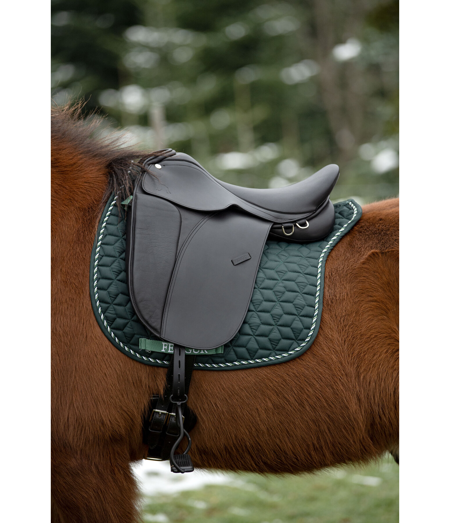 Saddle stirrups cheap