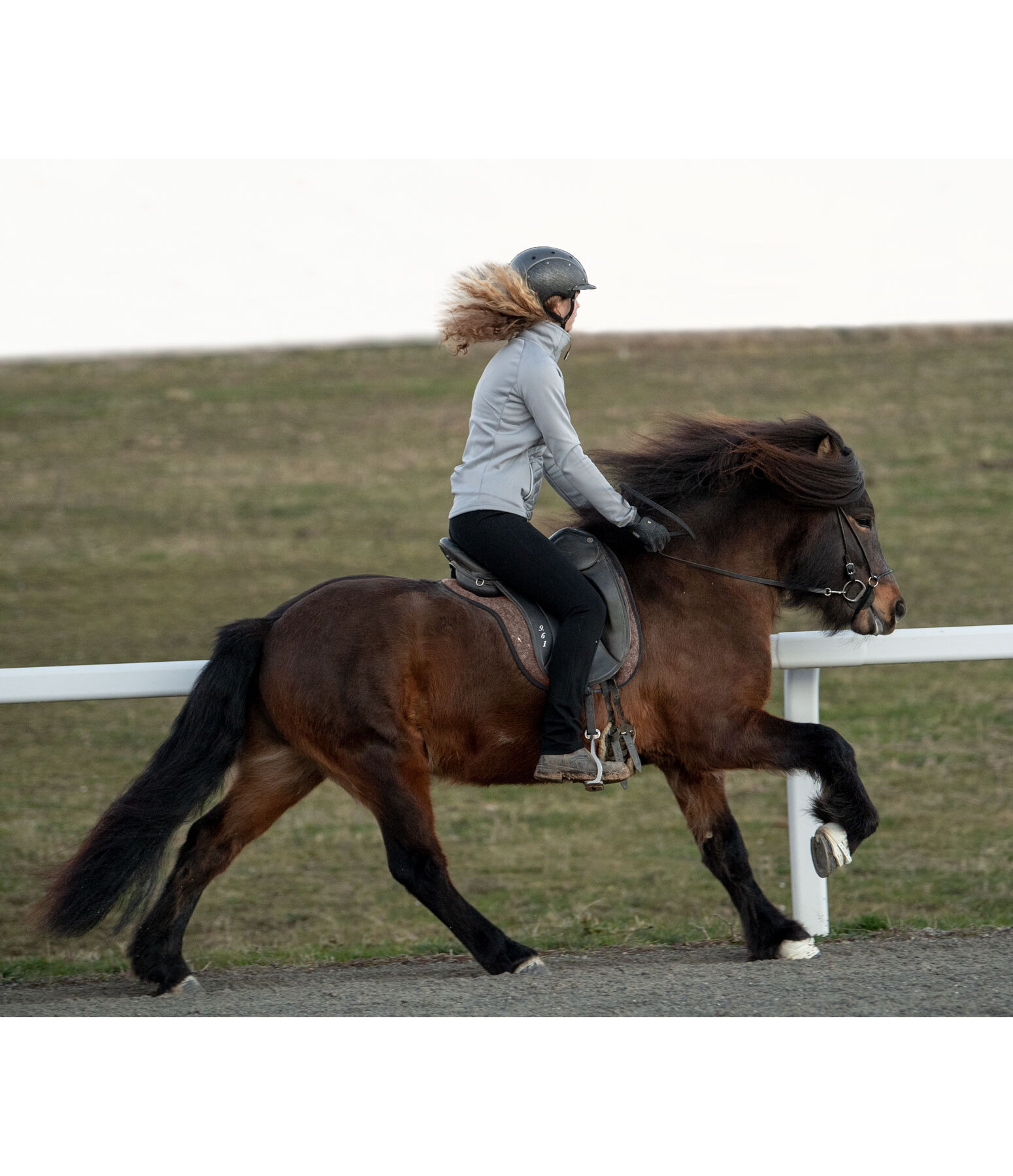 Saddle Pad Felt