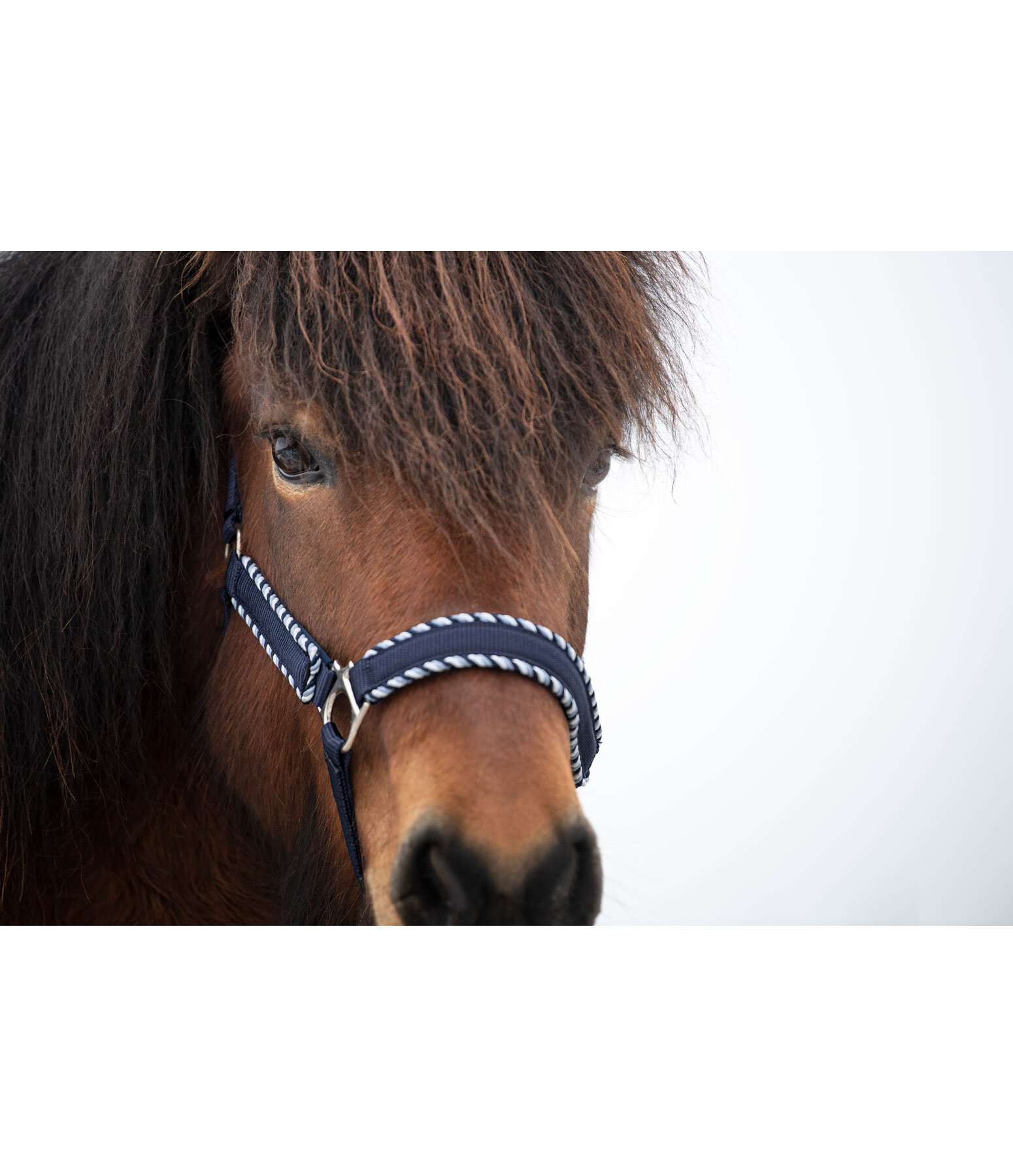 Headcollar Dagur