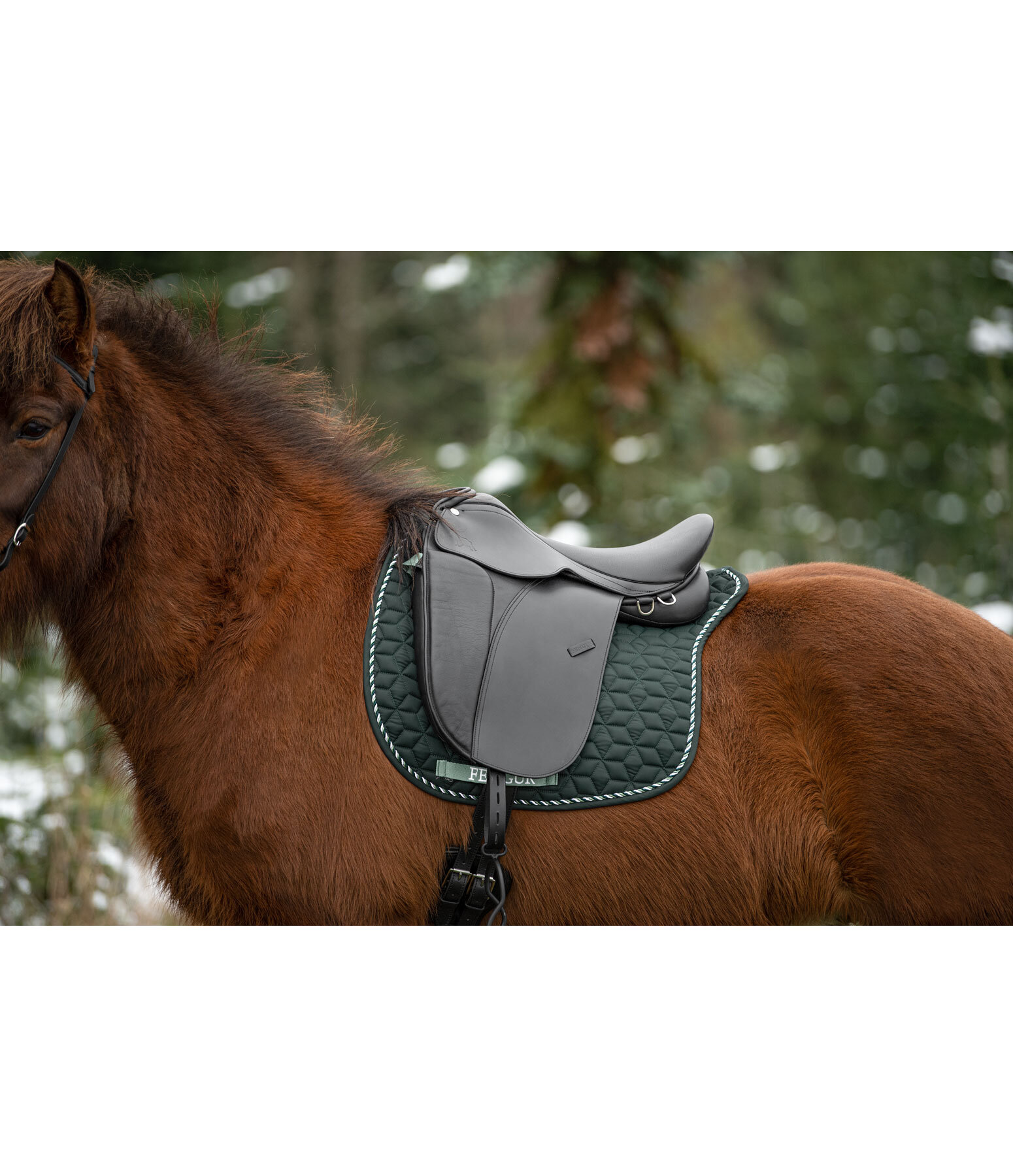 Saddle Pad Elida