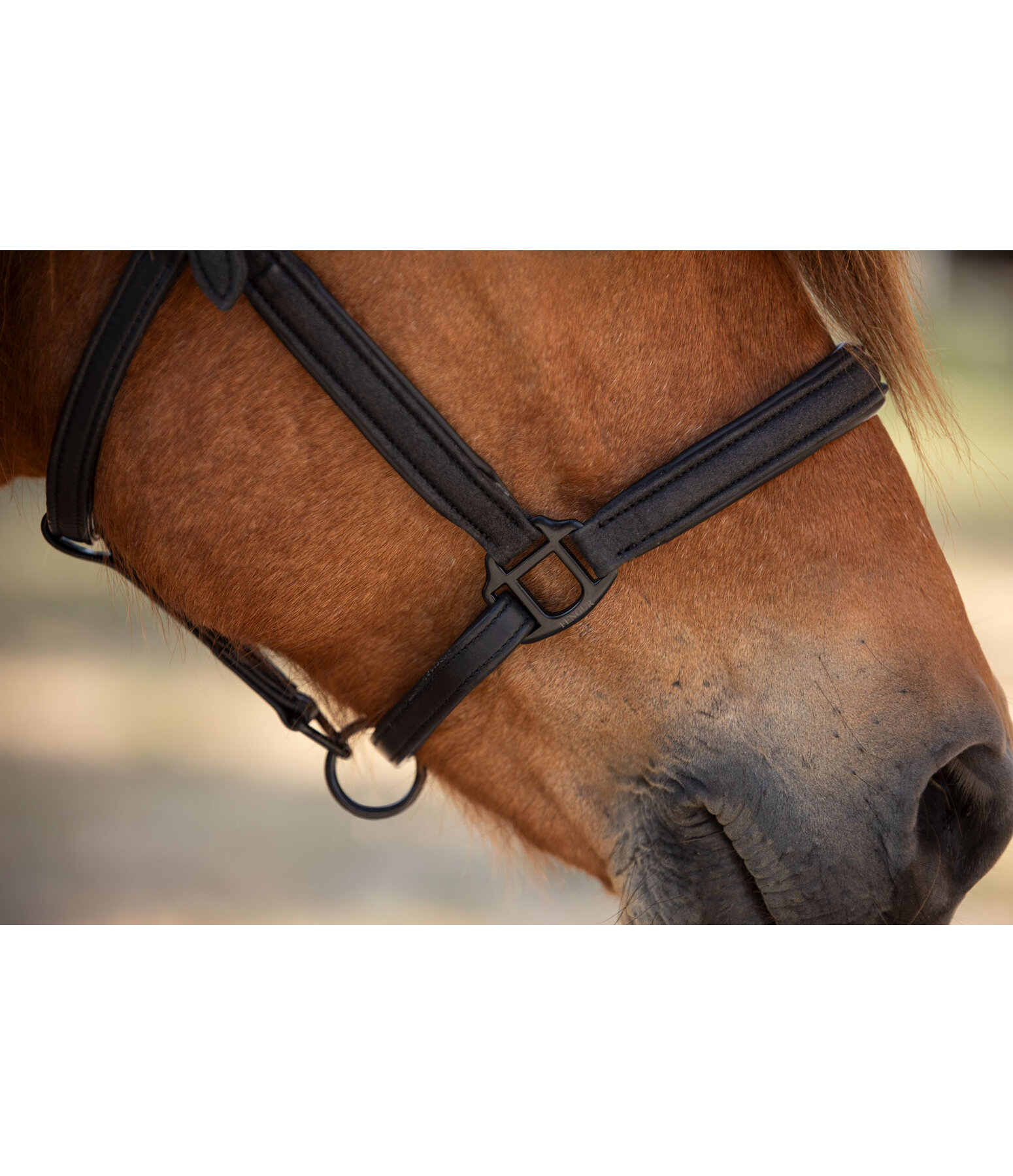 Leather Headcollar Blika