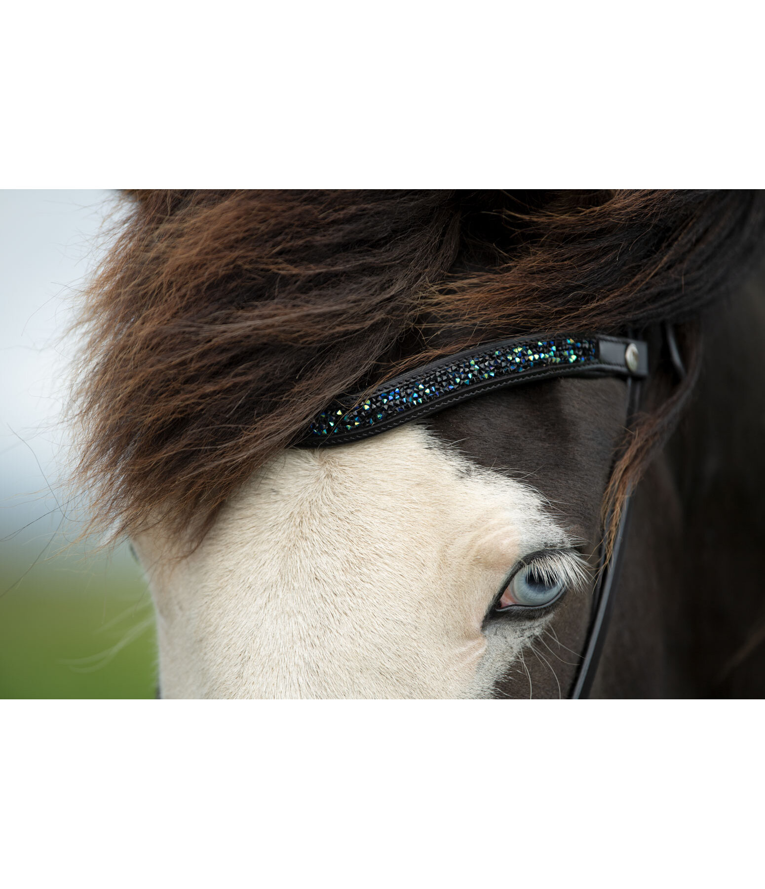 Browband Skna