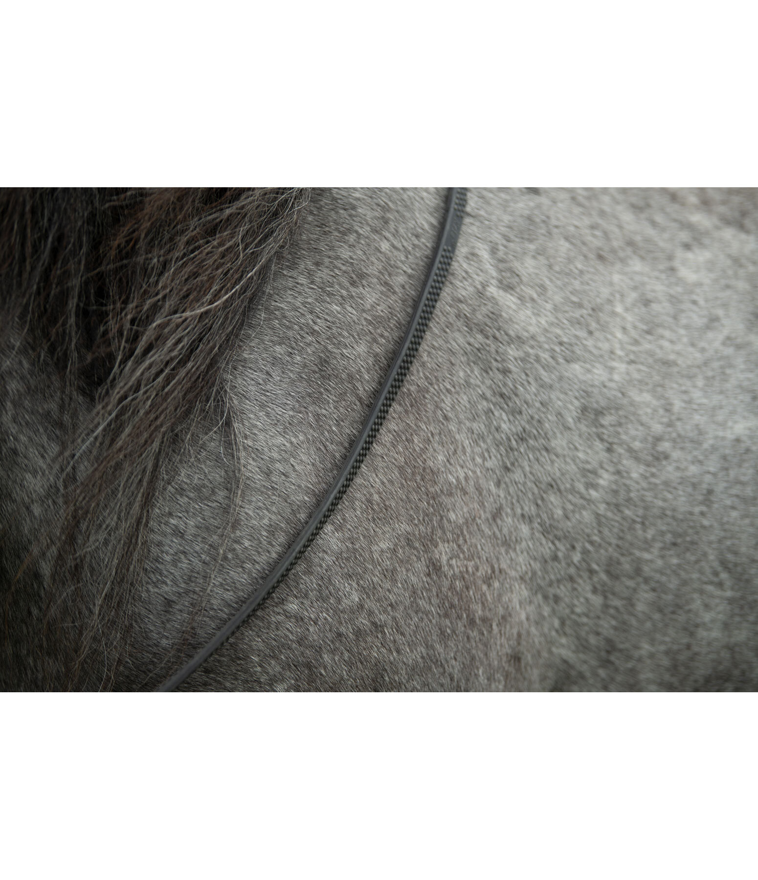 Icelandic Reins Super Grip