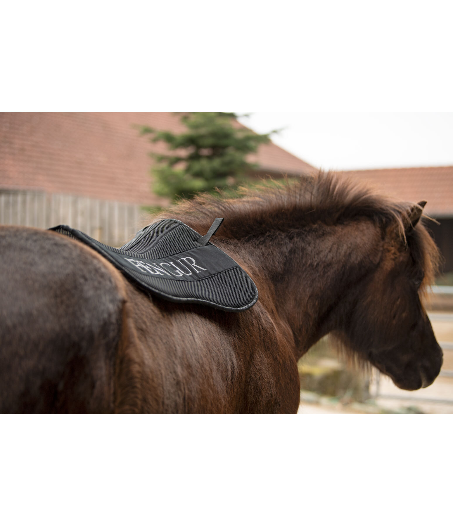 Comfort Saddle Pad Anda