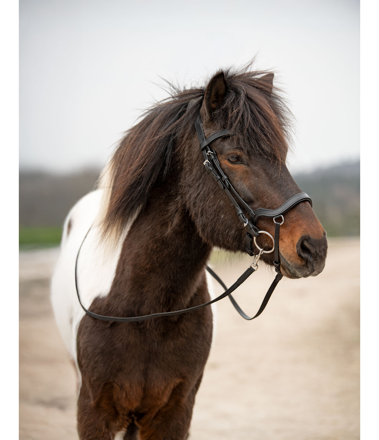 Anatomical Bridle Linur