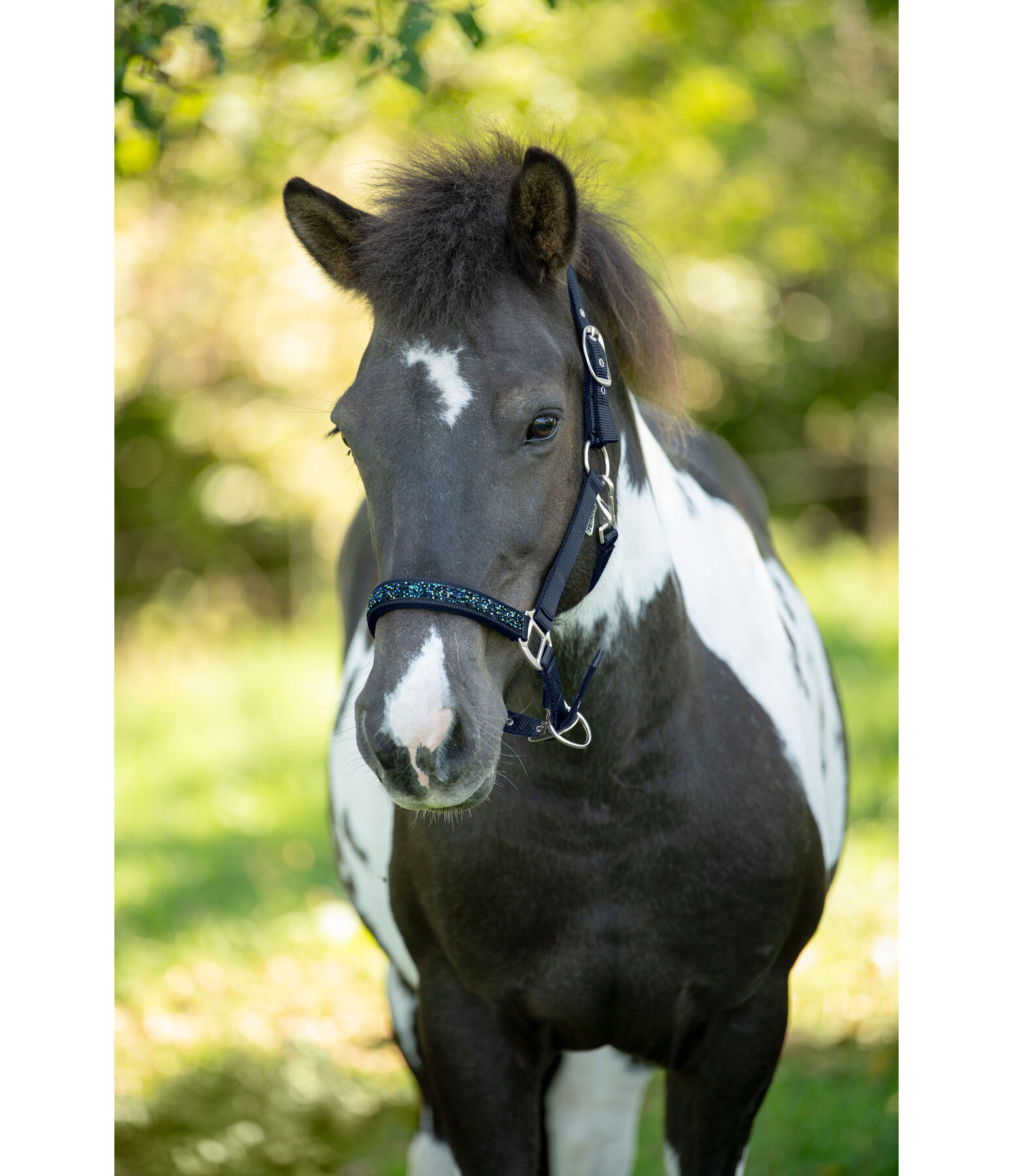 Headcollar Skina