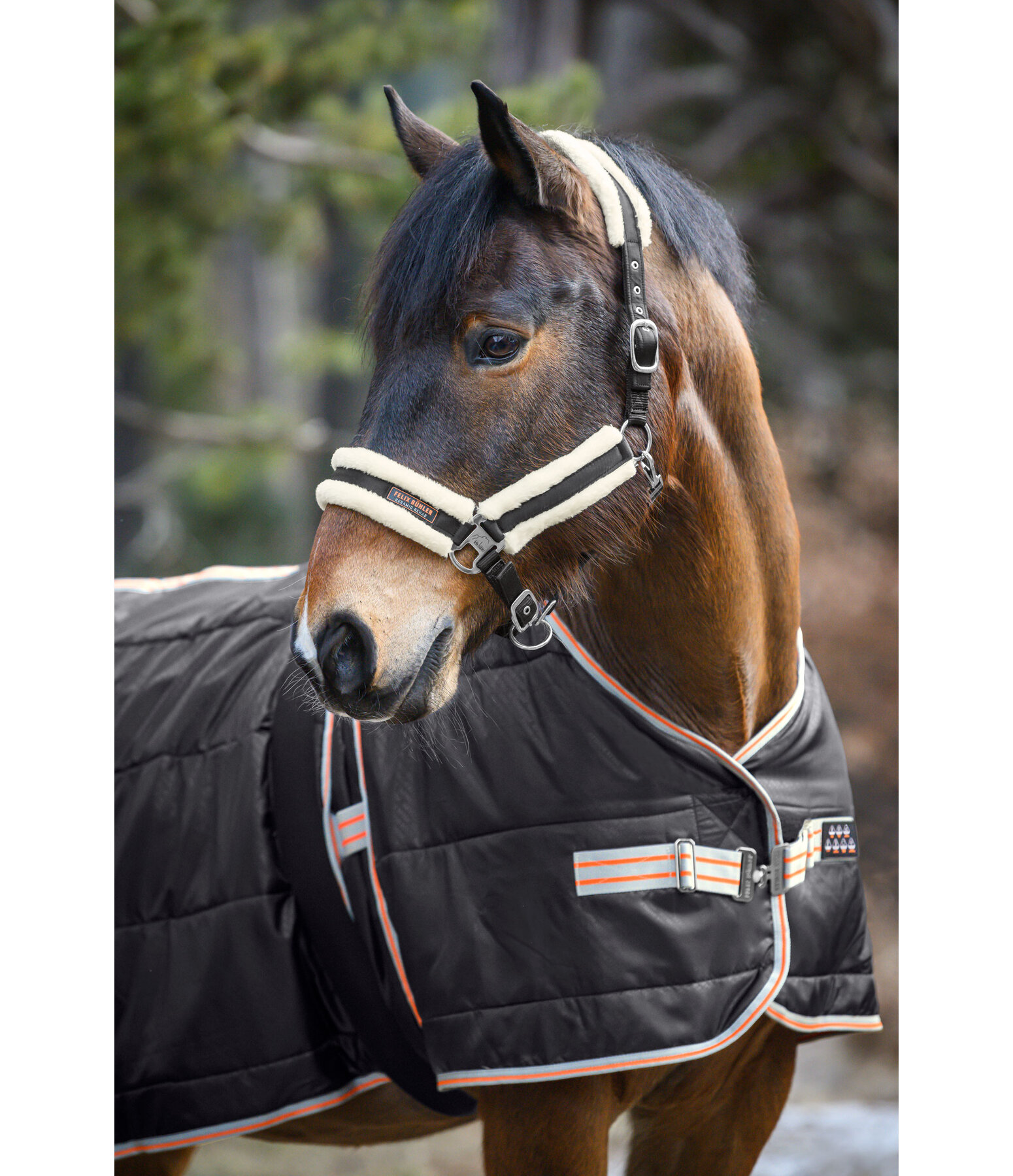 Teddy Fleece Headcollar Ceramic Rehab