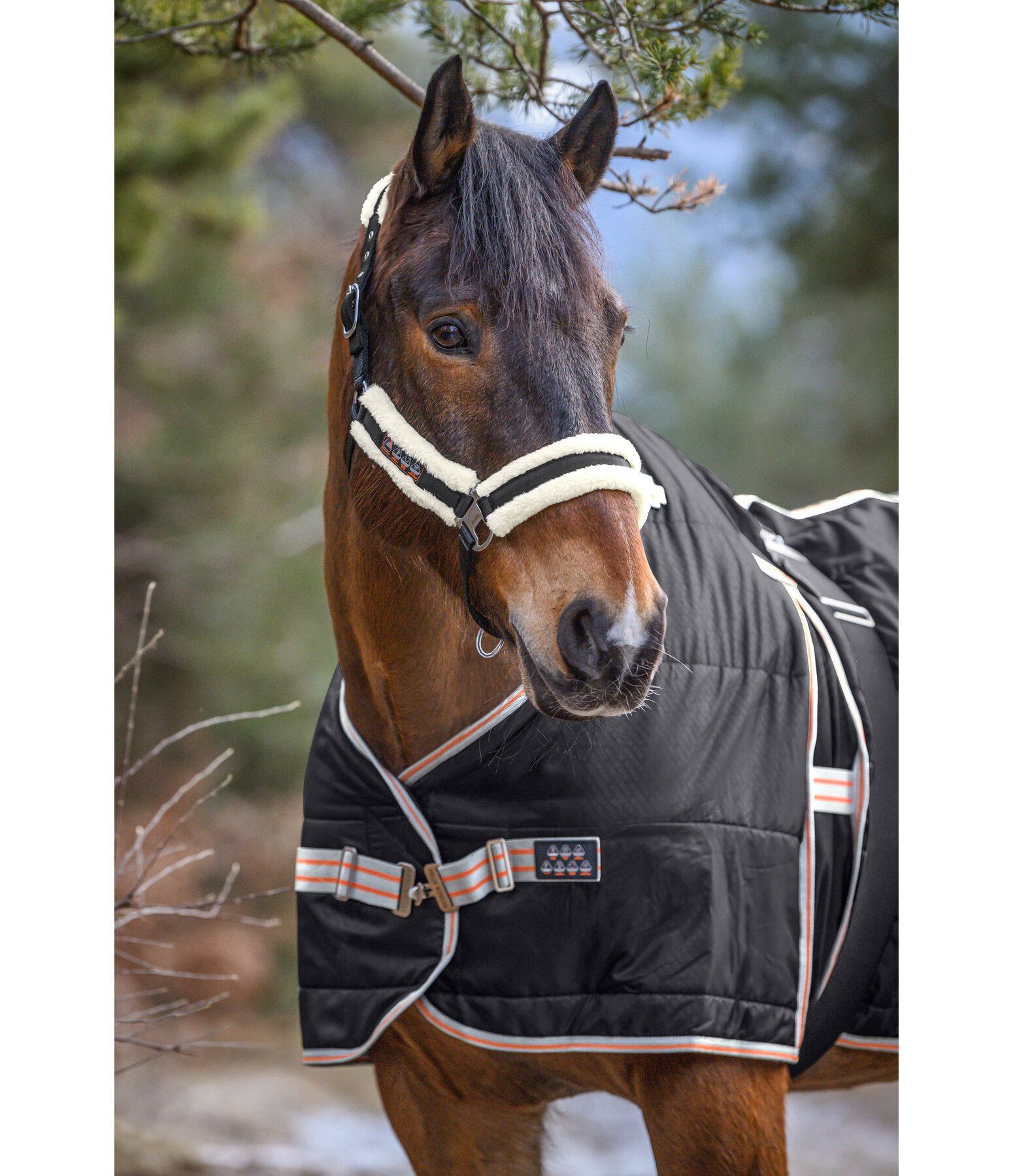 Teddy Fleece Headcollar Ceramic Rehab