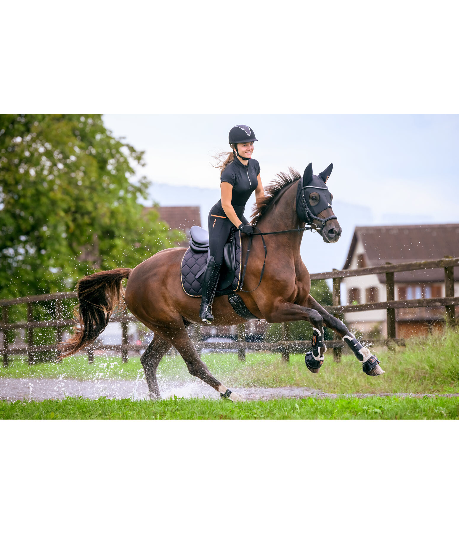 Comfort Mask for Horses Ceramic Rehab