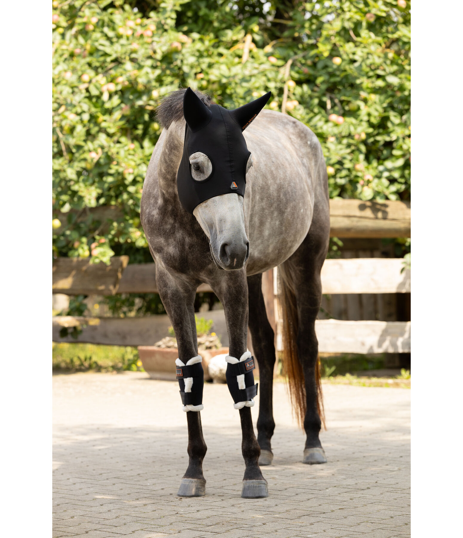 Knee Protectors Ceramic Rehab