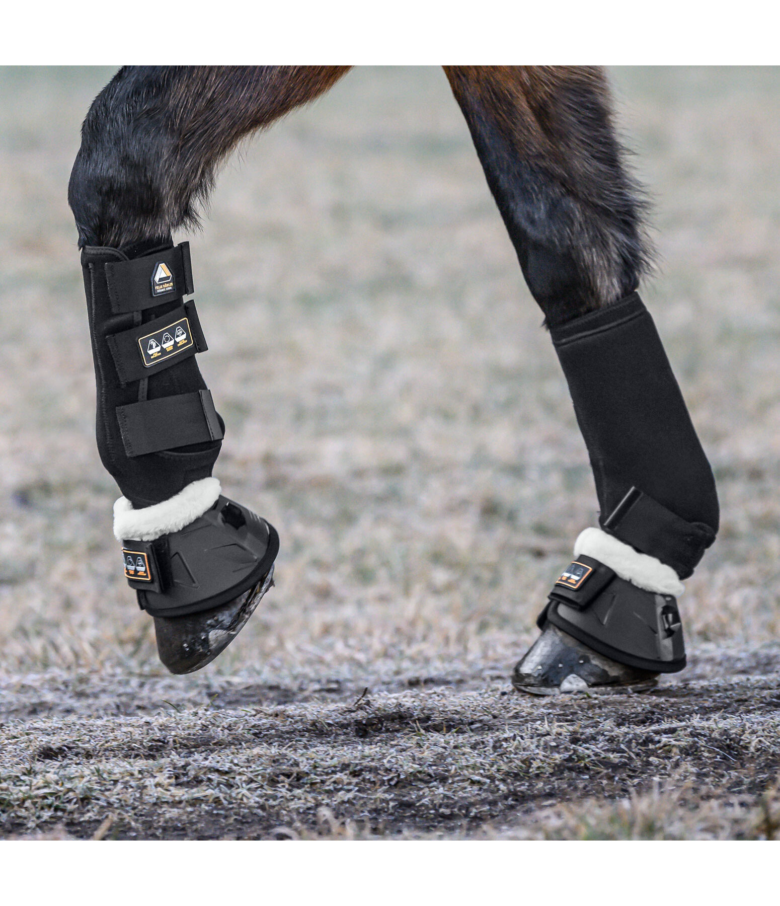 Dressage Boots Ceramic Rehab