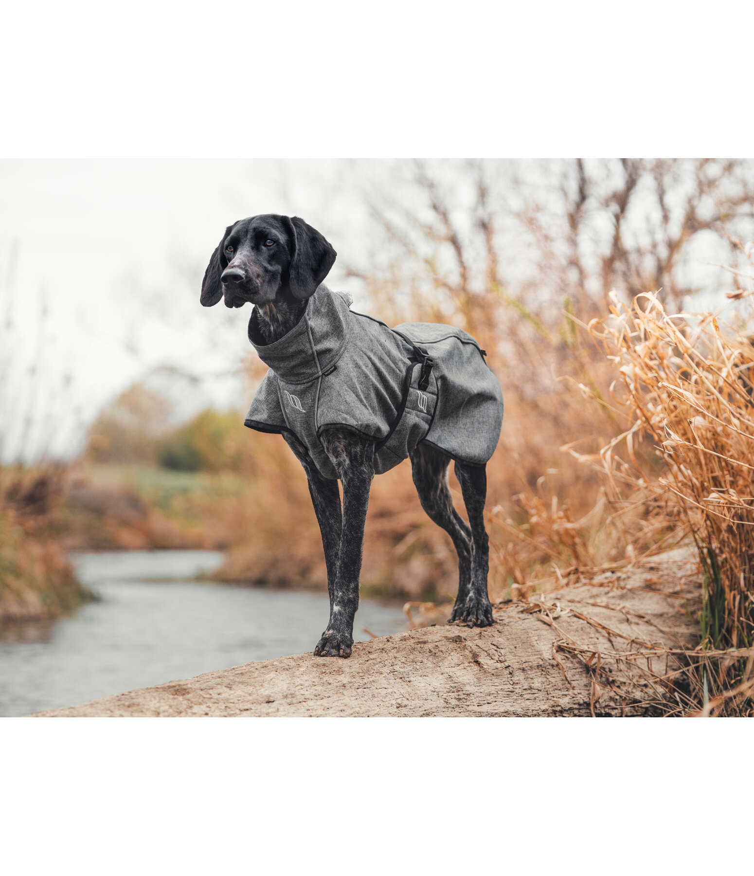 All-Round Soft Shell Dog Coat Bark, 0g