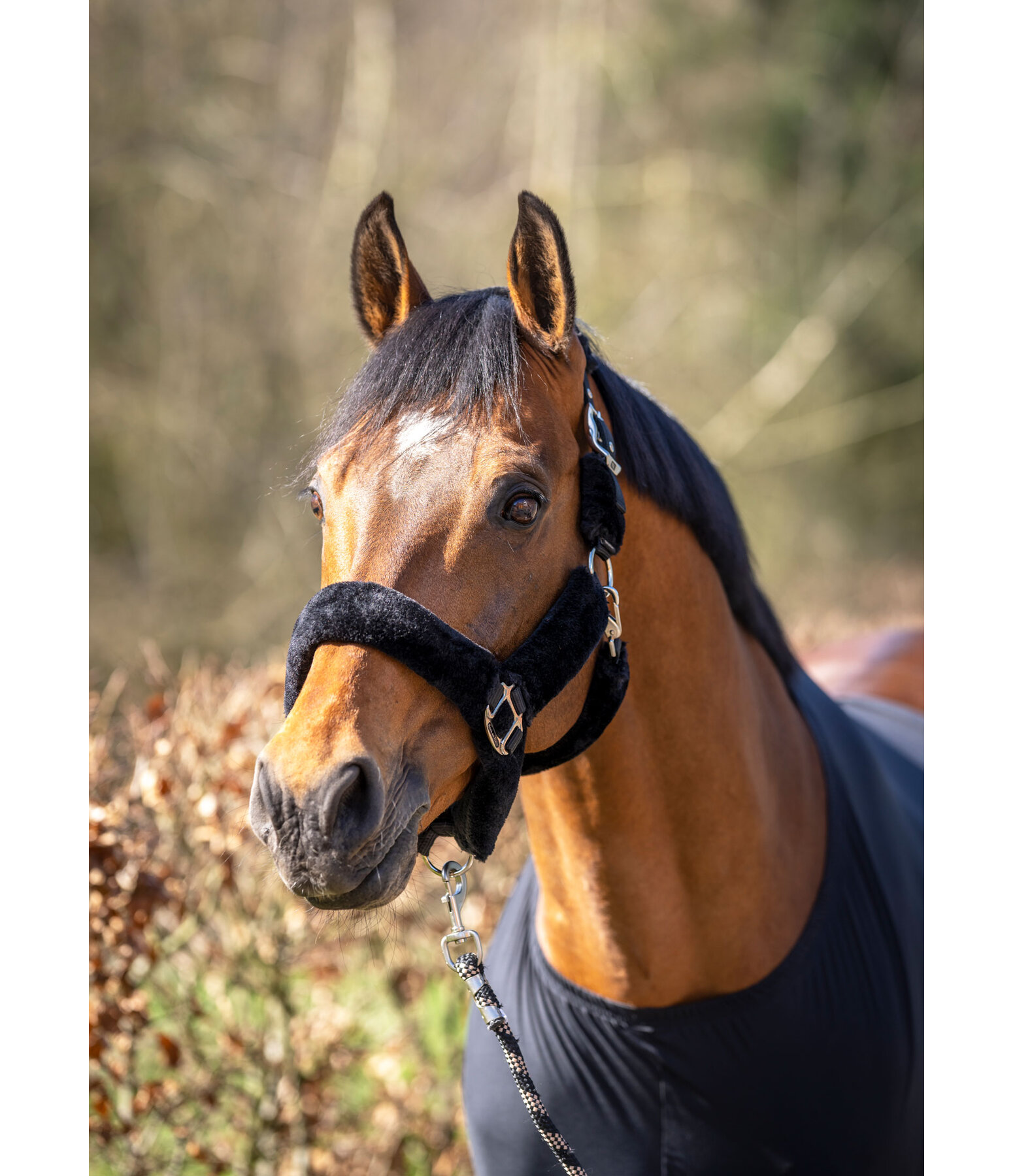 Teddy Fleece Headcollar Audrey