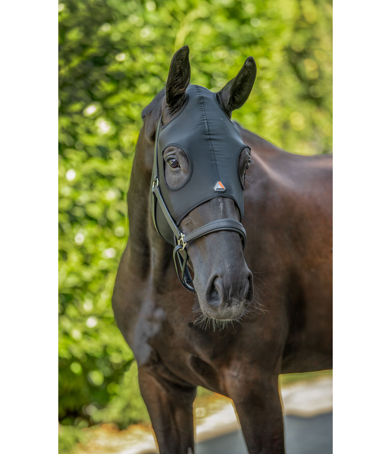Comfort Mask for Horses Earless Ceramic Rehab