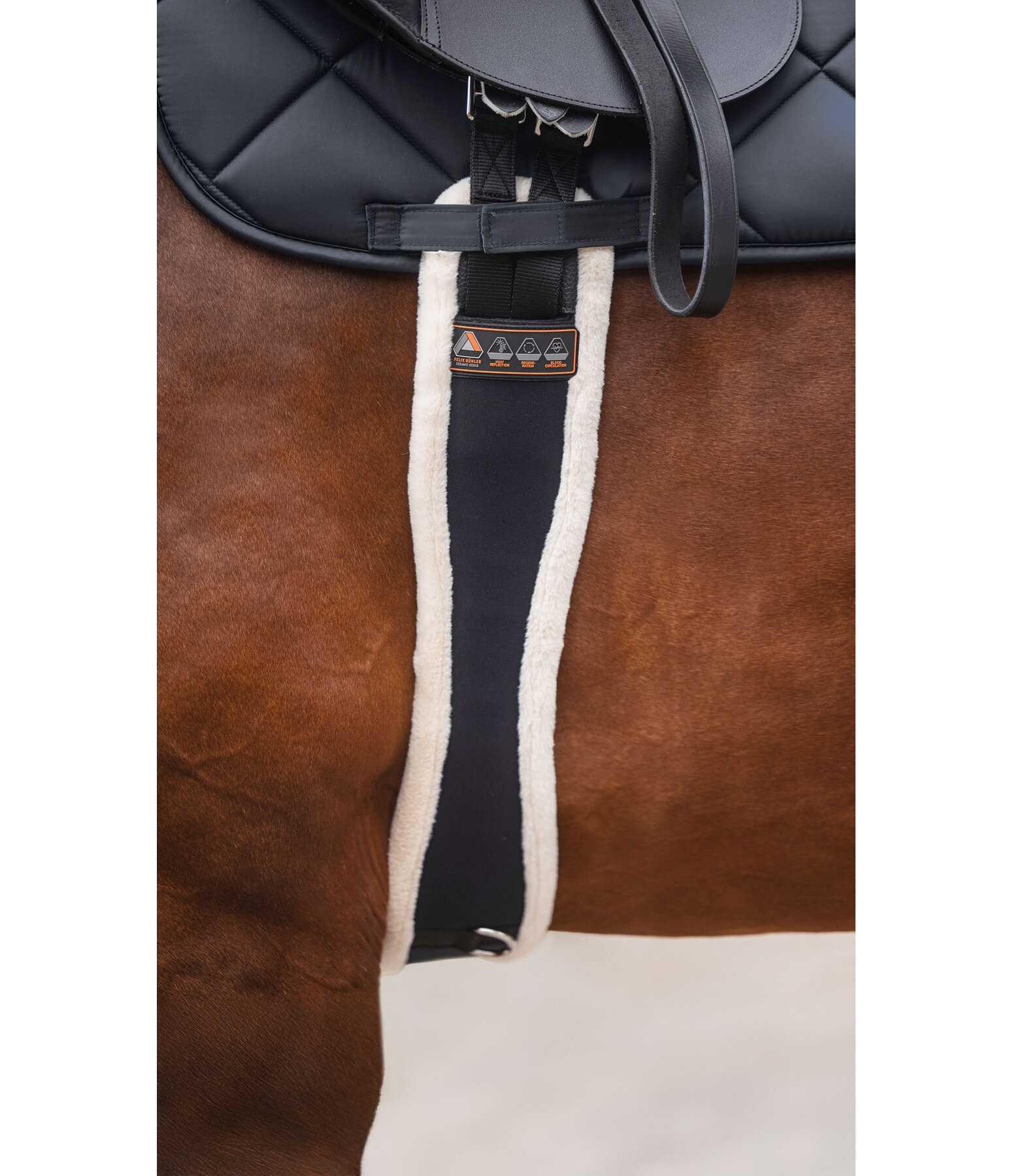 Long Girth Ceramic Rehab