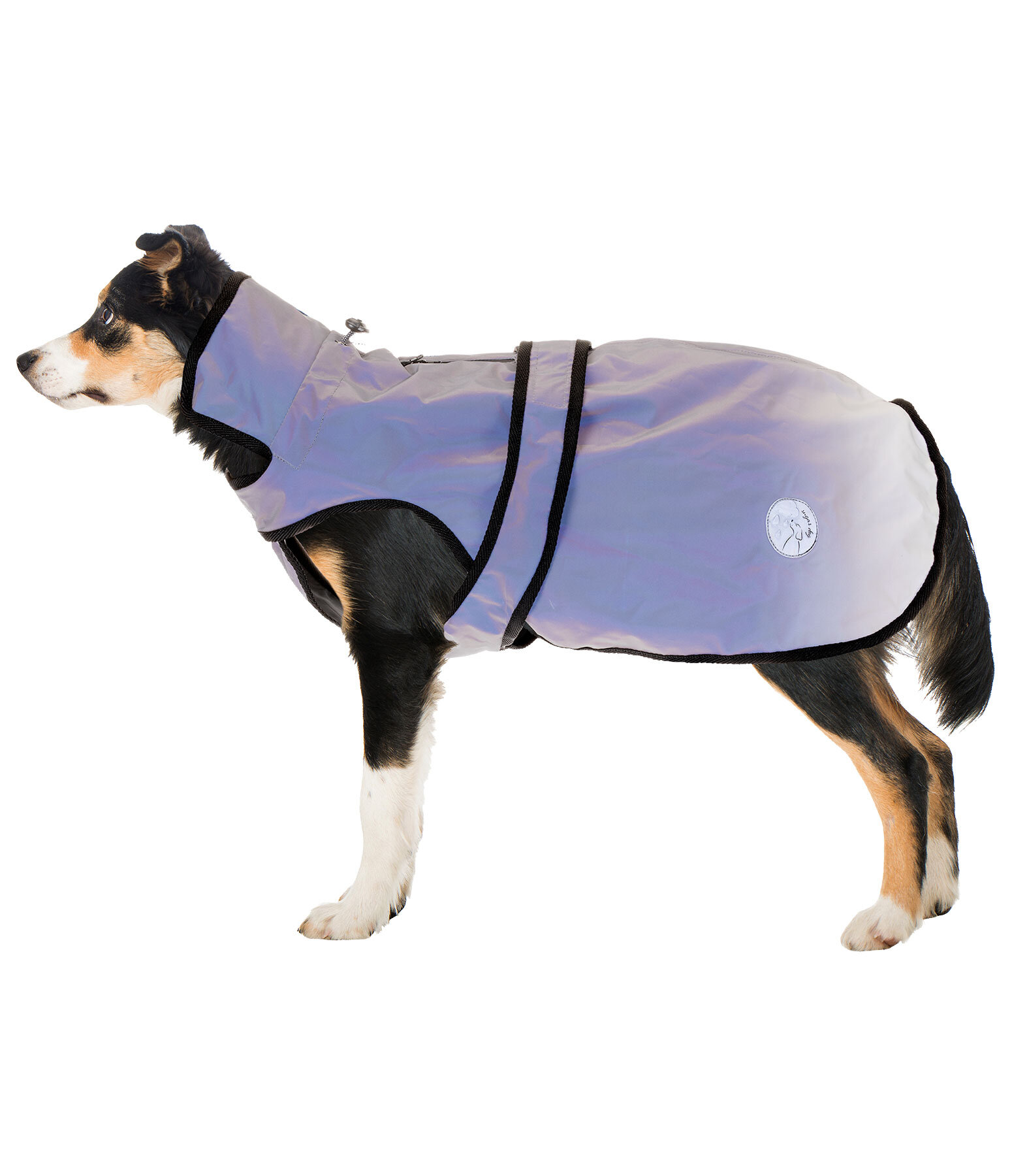 Reflective Dogcoat