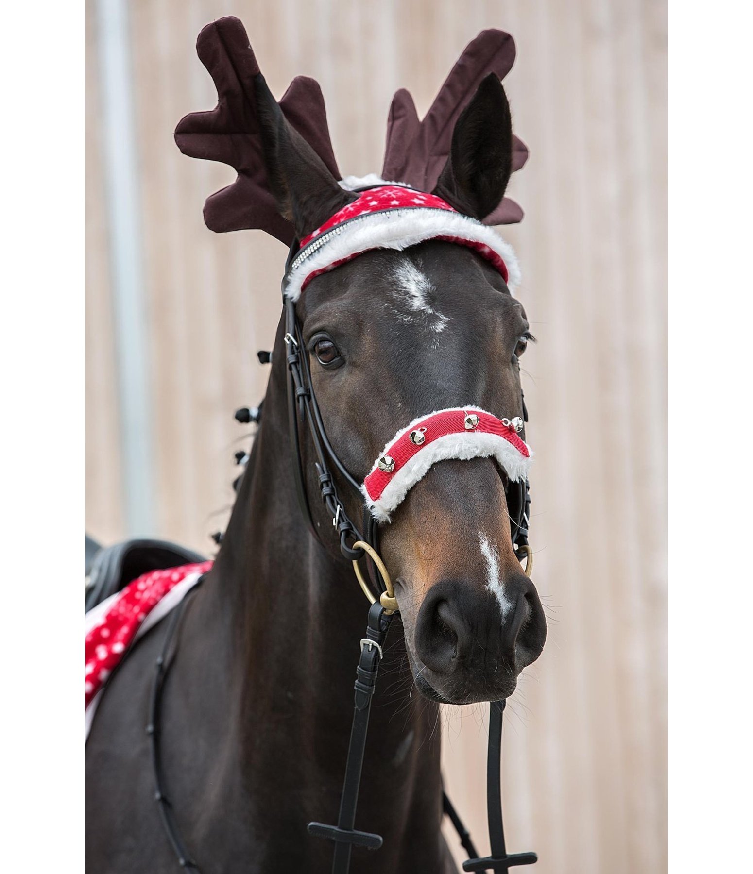 Christmas Antlers Advent & Christmas Season Kramer Equestrian
