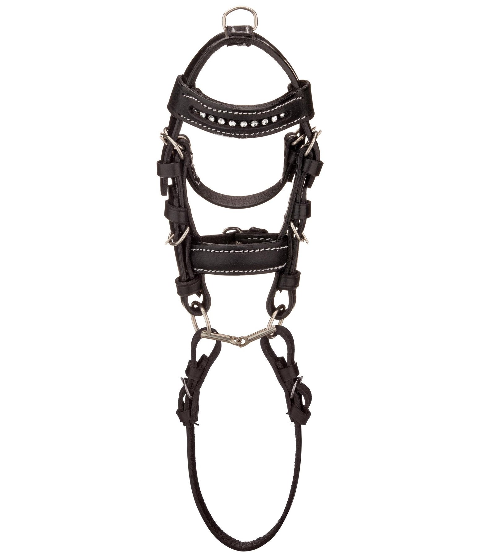 Mini Bridle